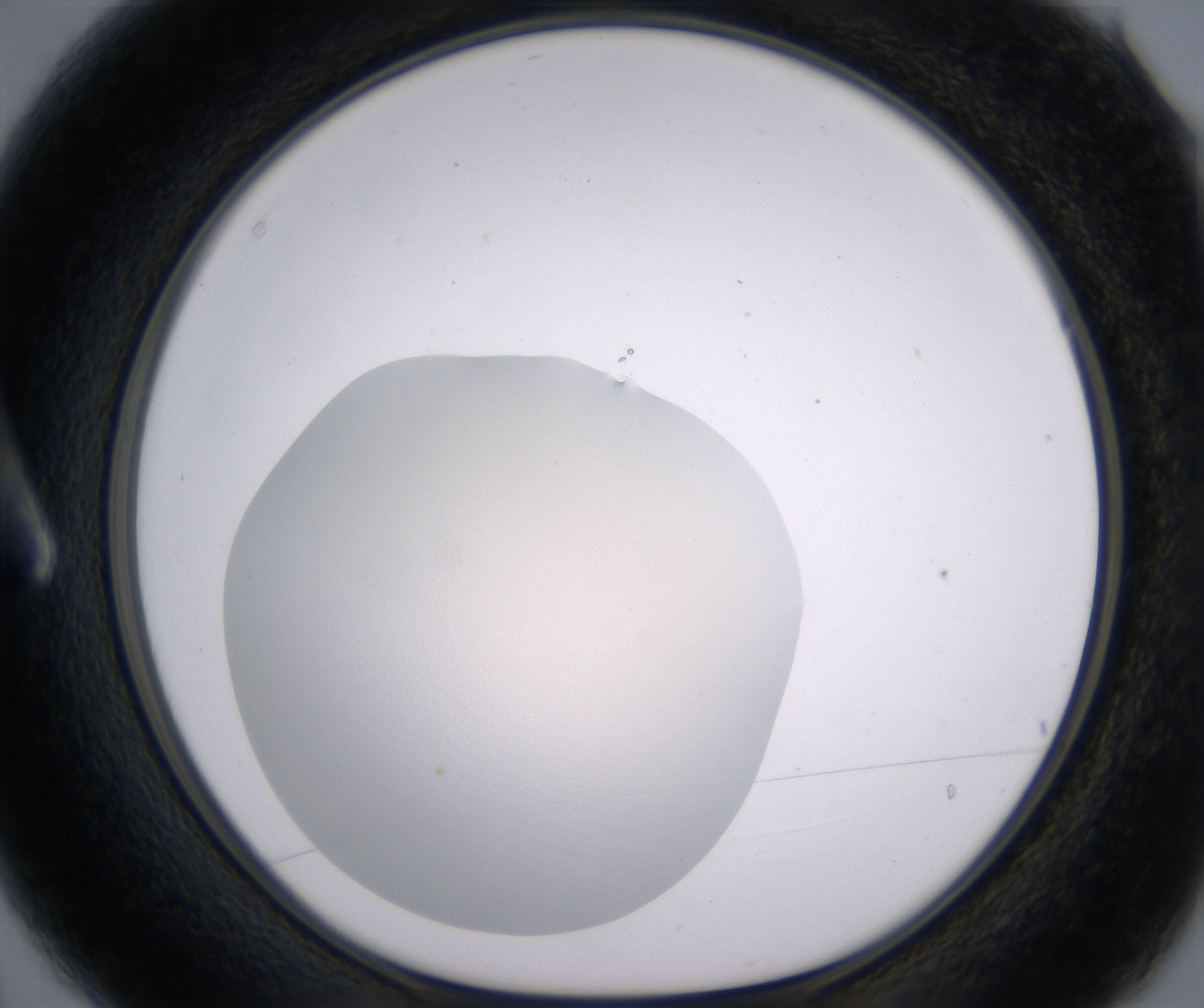 A3_HighResolution_Clear_1.jpg
