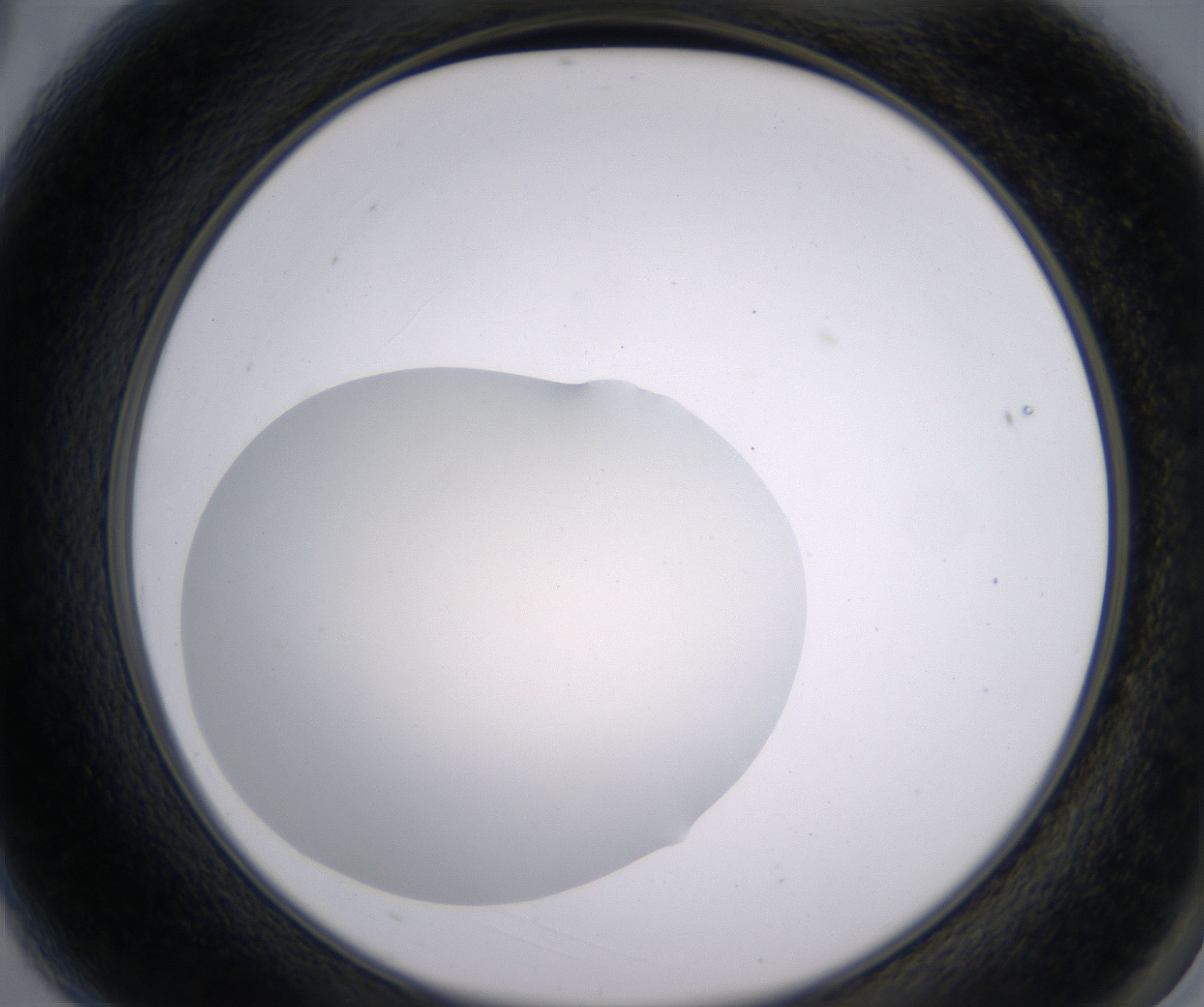 A3_HighResolution_Clear_2.jpg