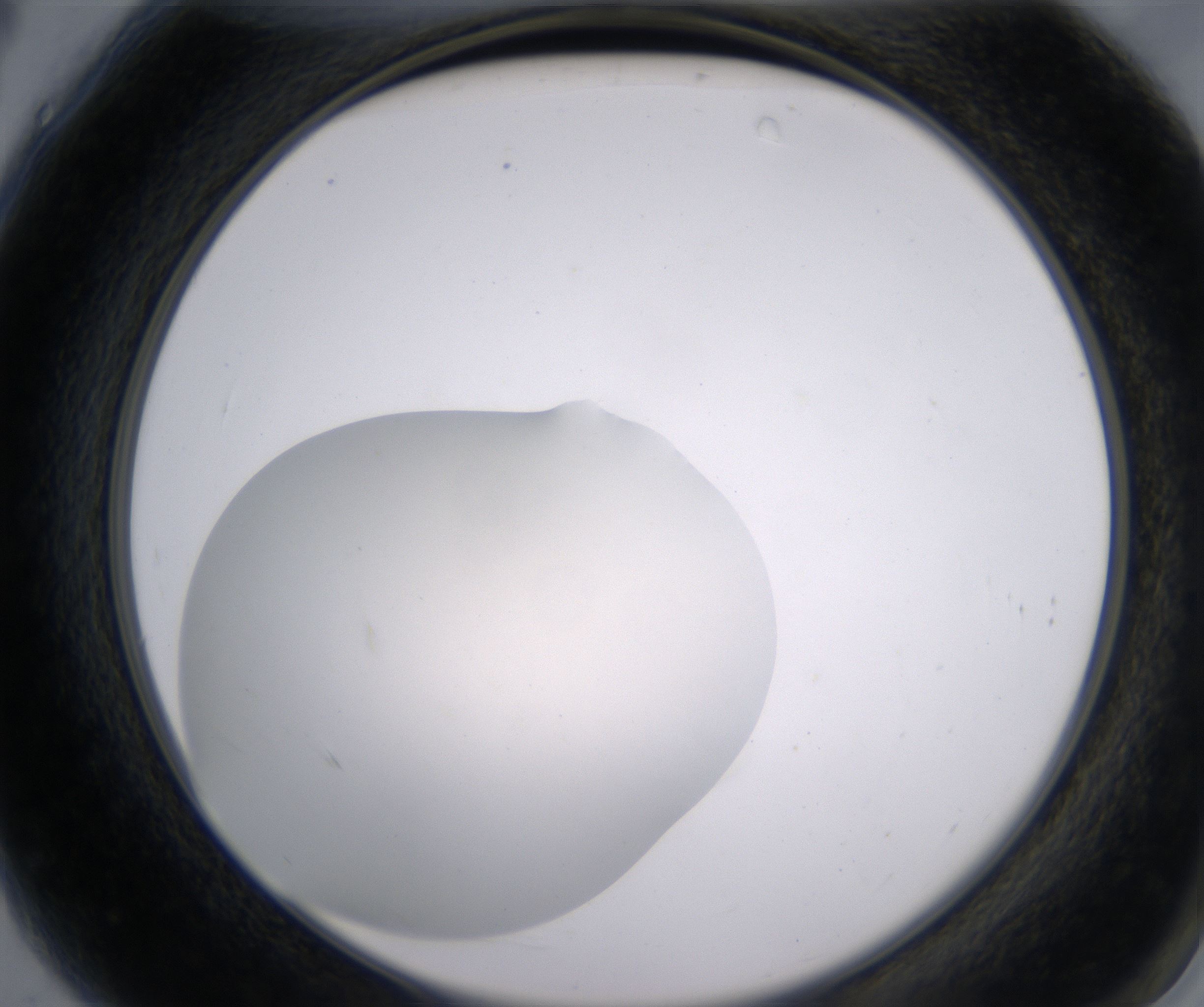 A4_HighResolution_Clear_2.jpg