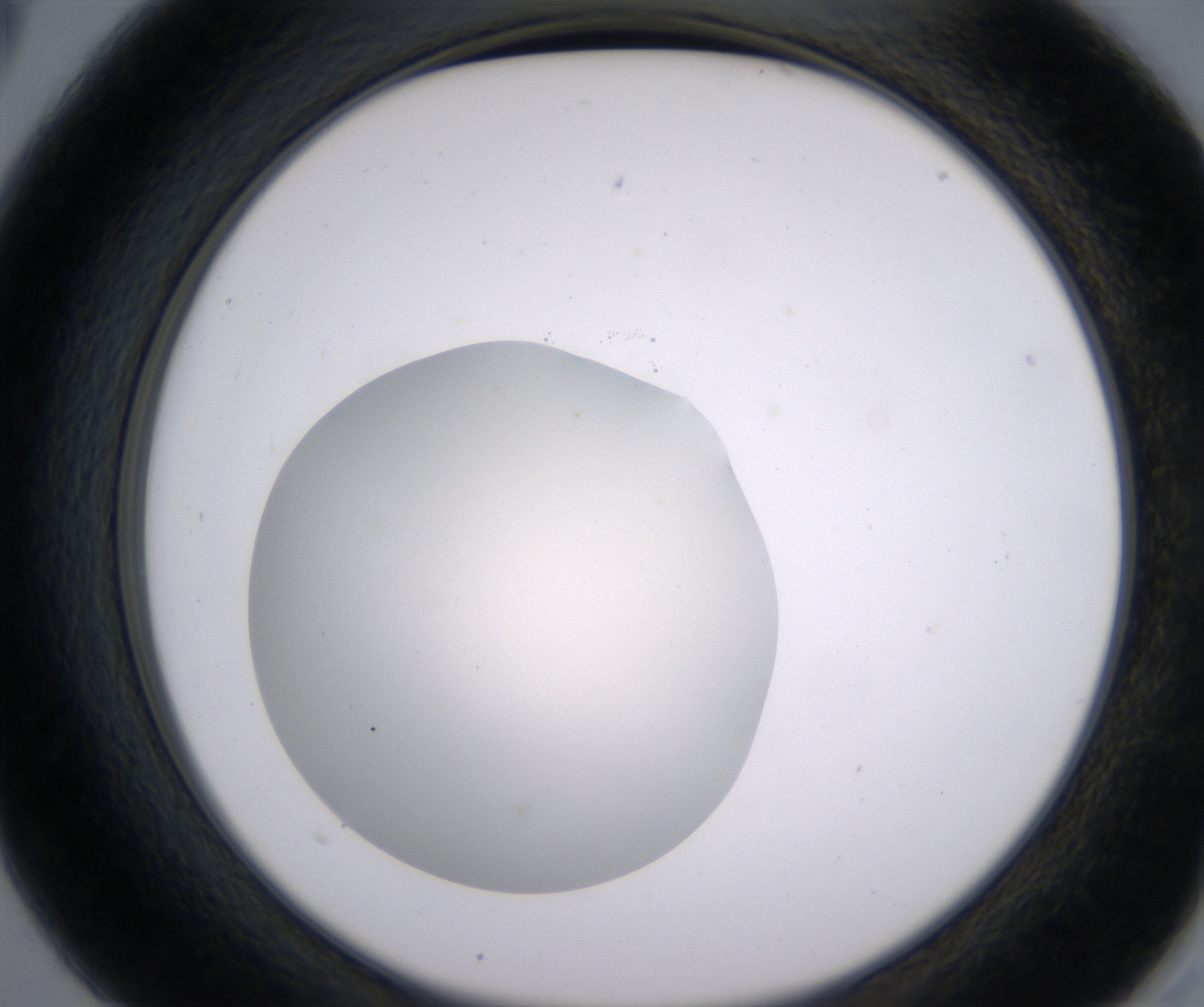 A5_HighResolution_Clear_2.jpg
