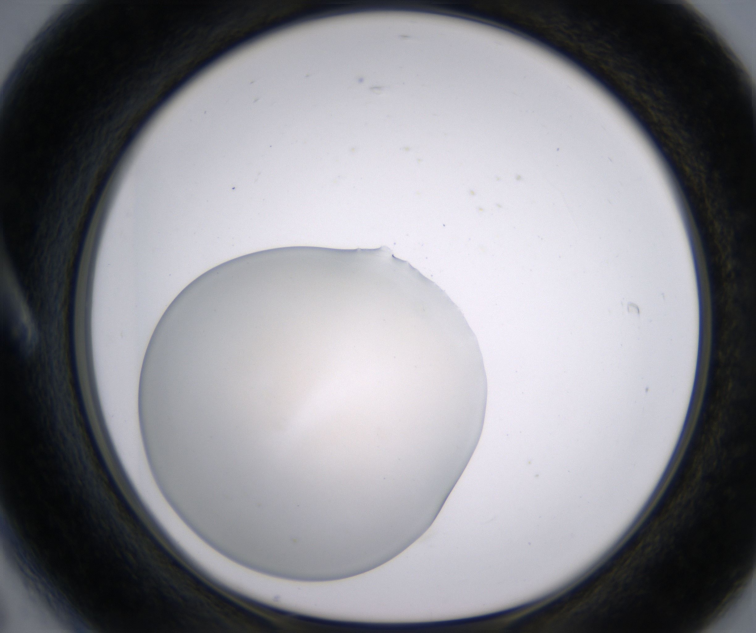 A6_HighResolution_Clear_1.jpg