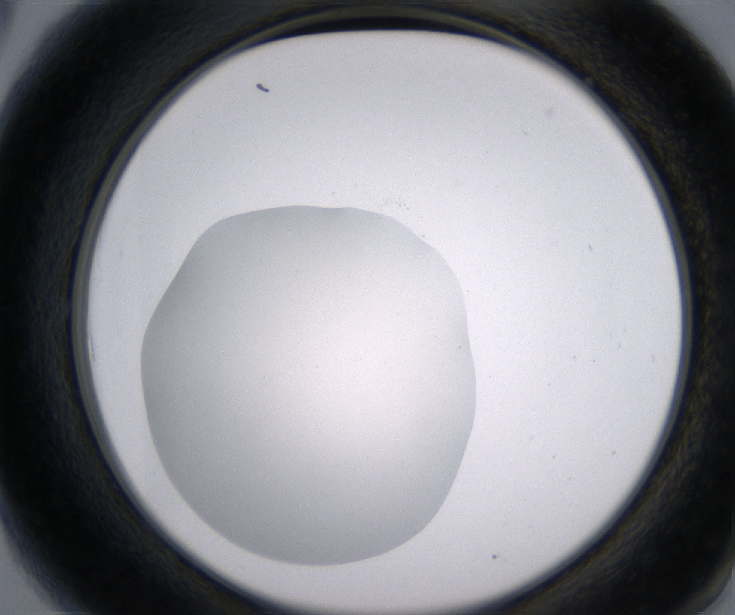 A6_HighResolution_Clear_2.jpg