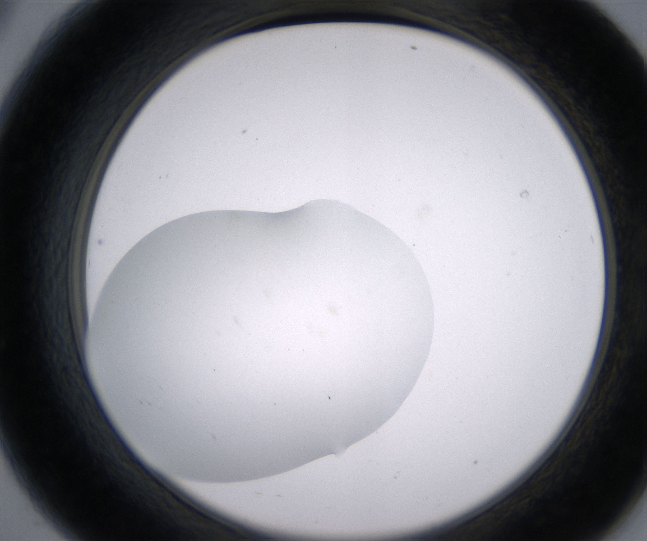 A8_HighResolution_Clear_2.jpg