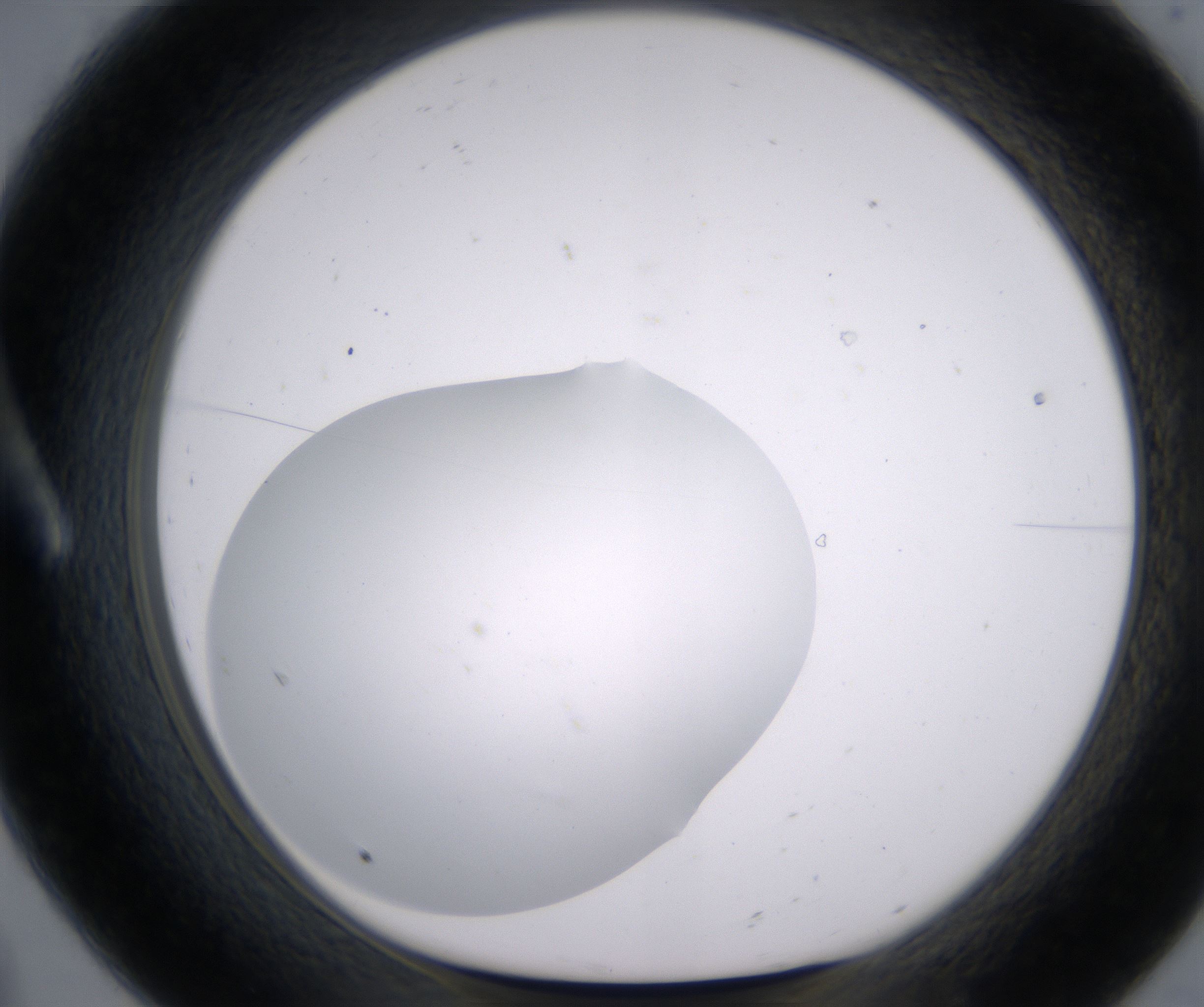 A8_HighResolution_Precipitate_1.jpg