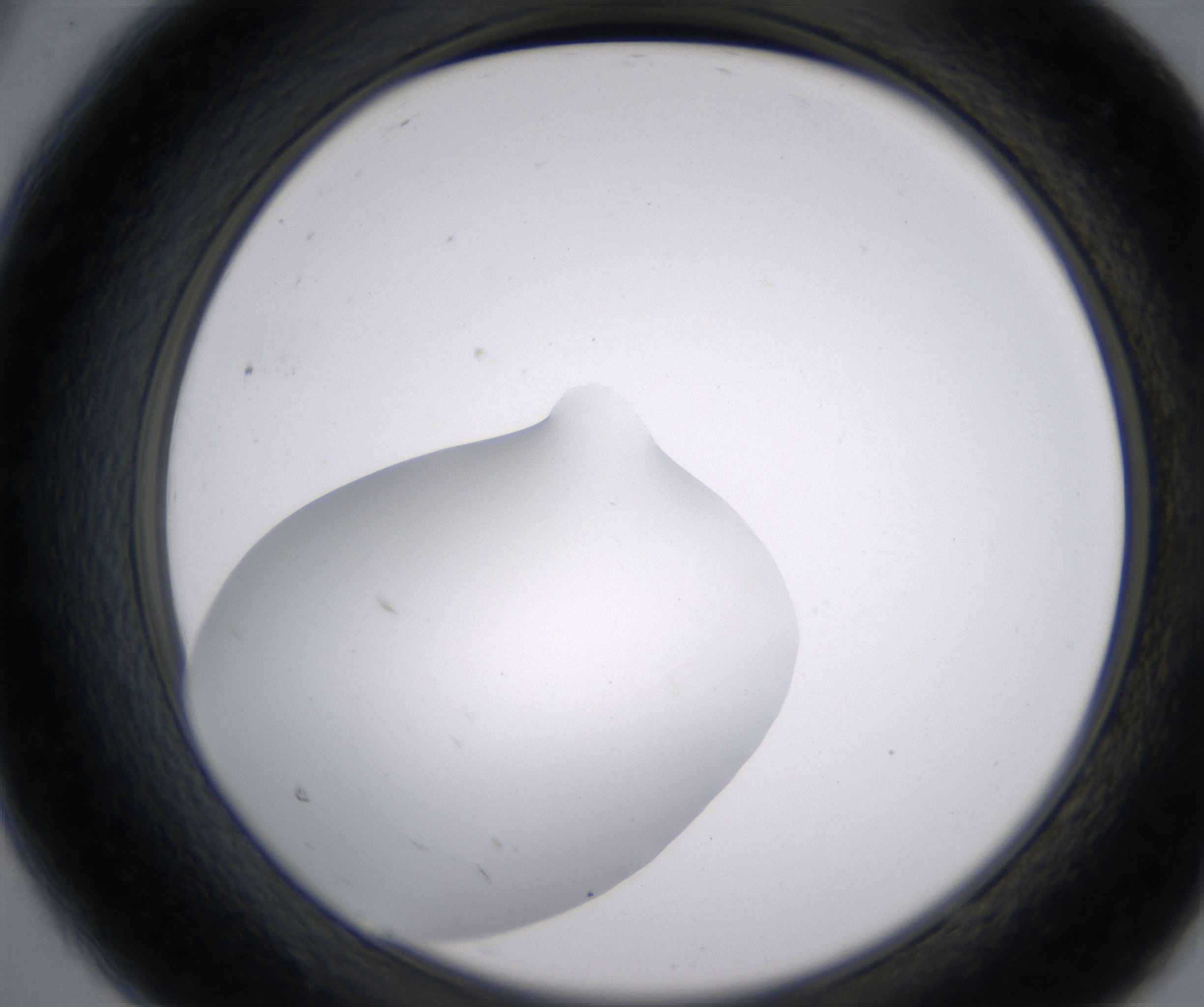 A9_HighResolution_Clear_2.jpg