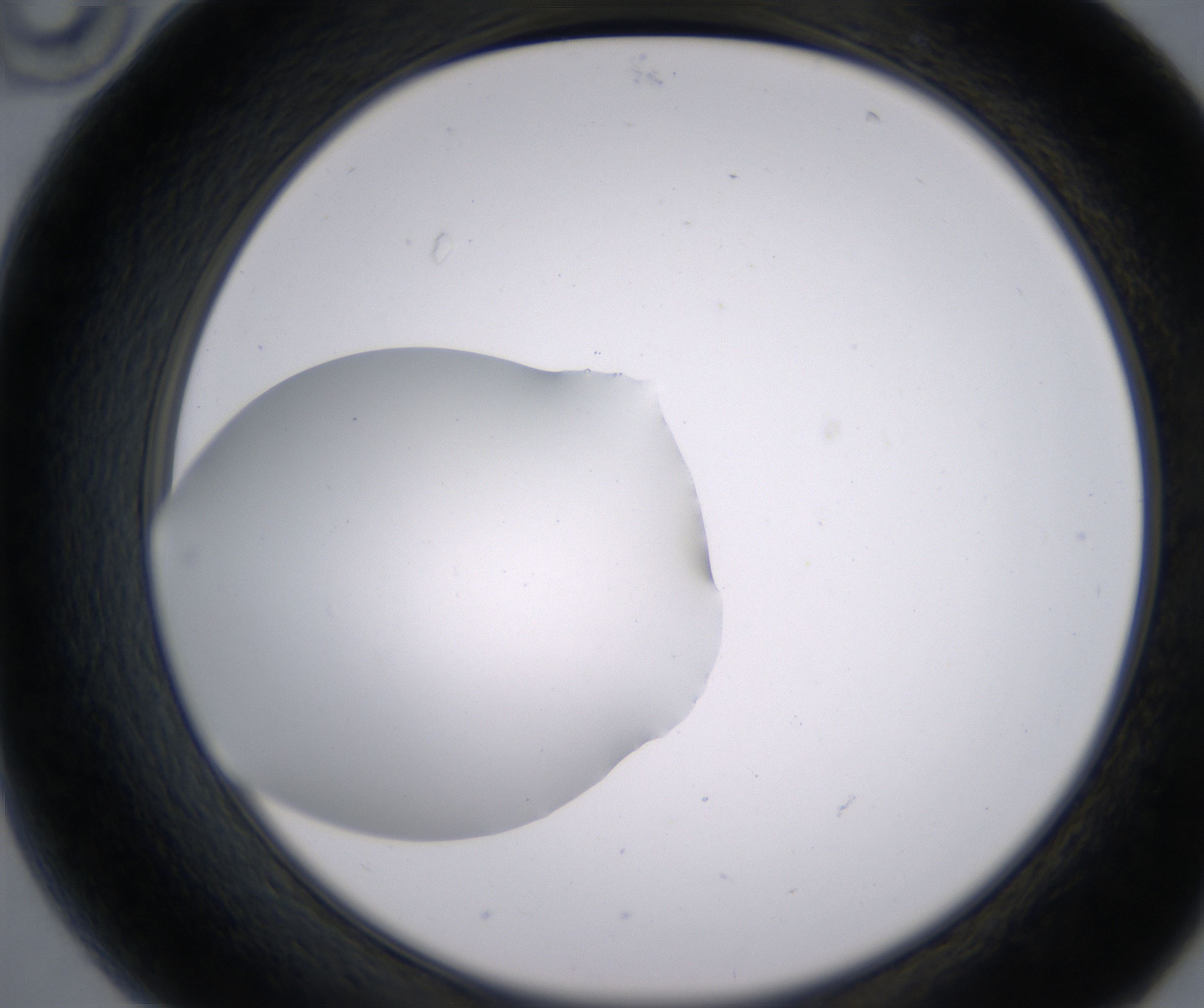 B10_HighResolution_Clear_2.jpg