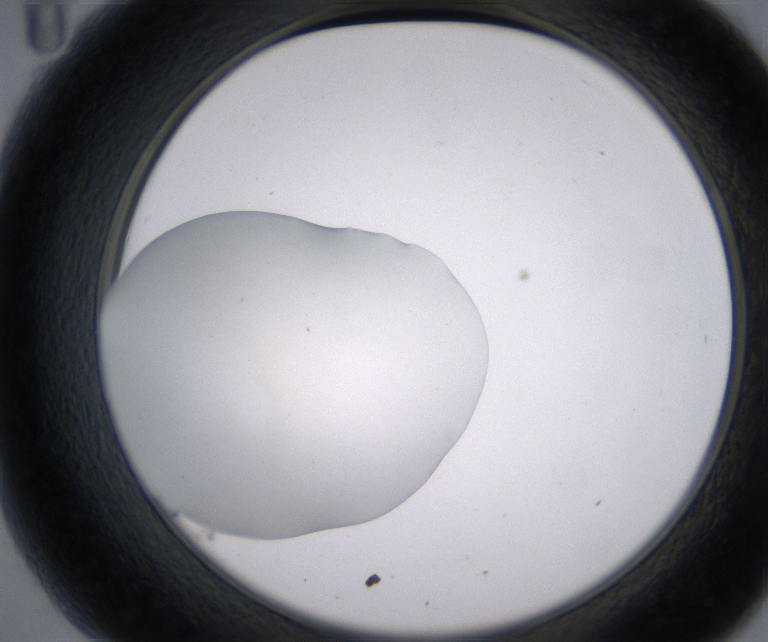 B11_HighResolution_Clear_2.jpg