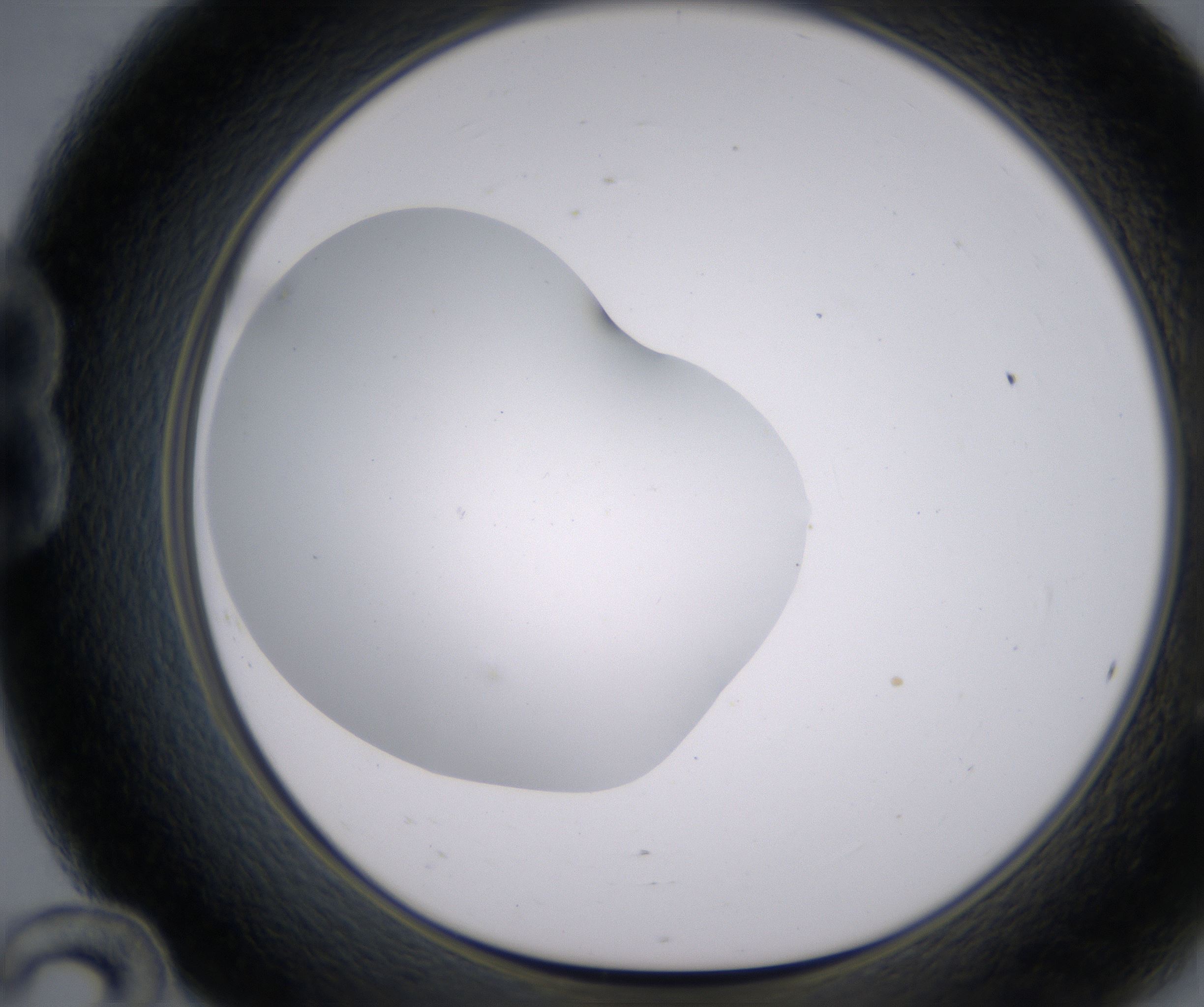 B12_HighResolution_Clear_1.jpg
