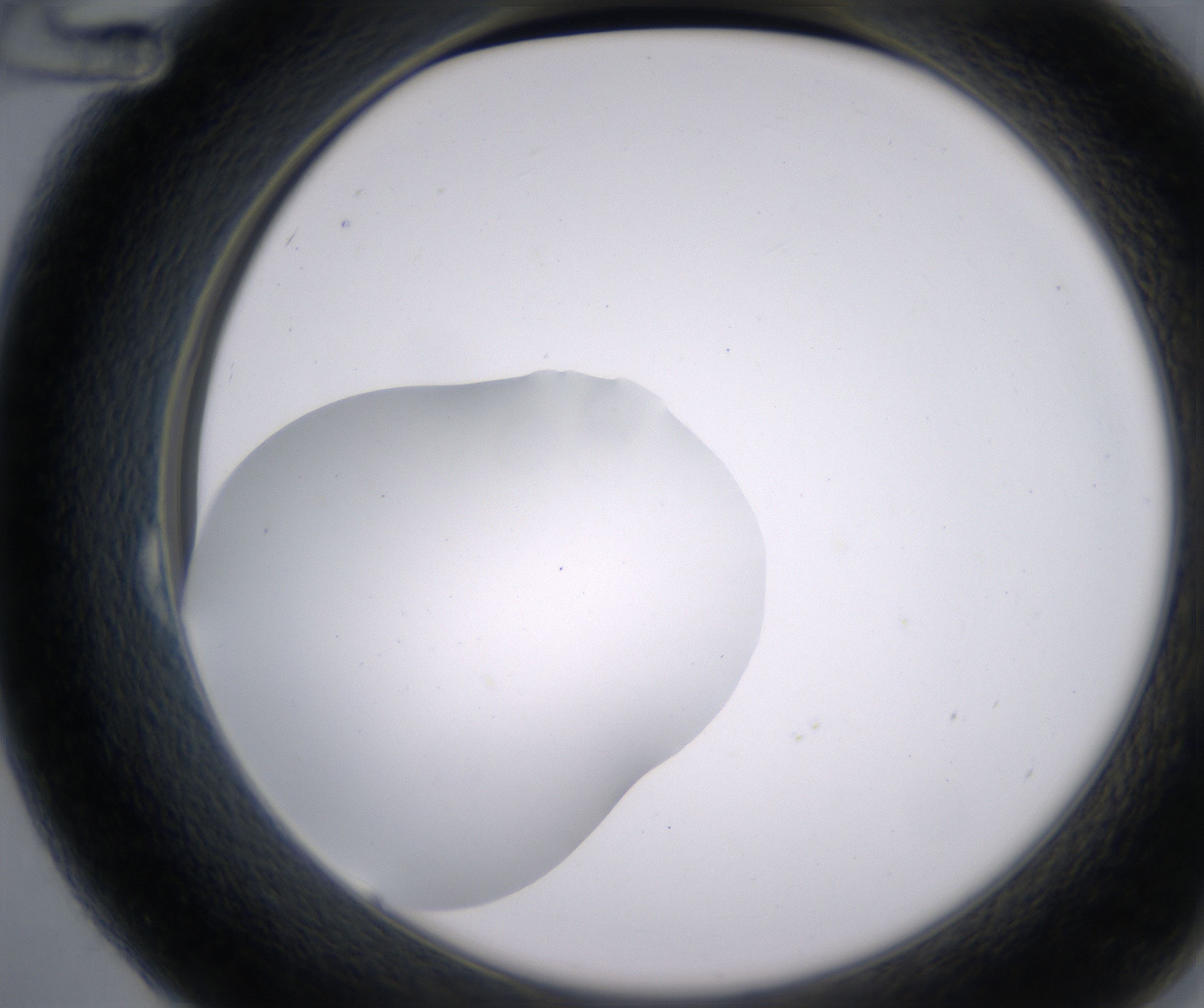 B12_HighResolution_Clear_2.jpg