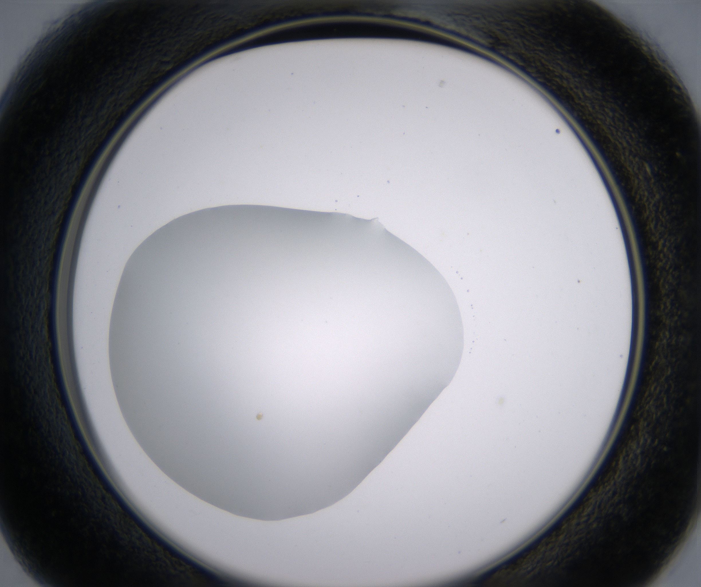 B1_HighResolution_Clear_2.jpg