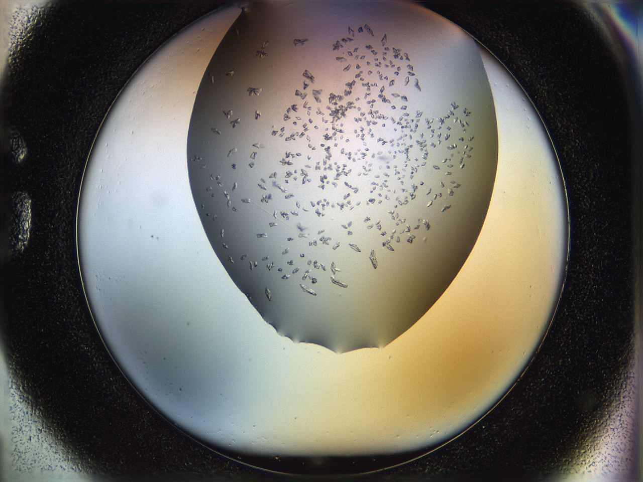 05jq_G1_ImagerDefaults_8.jpg