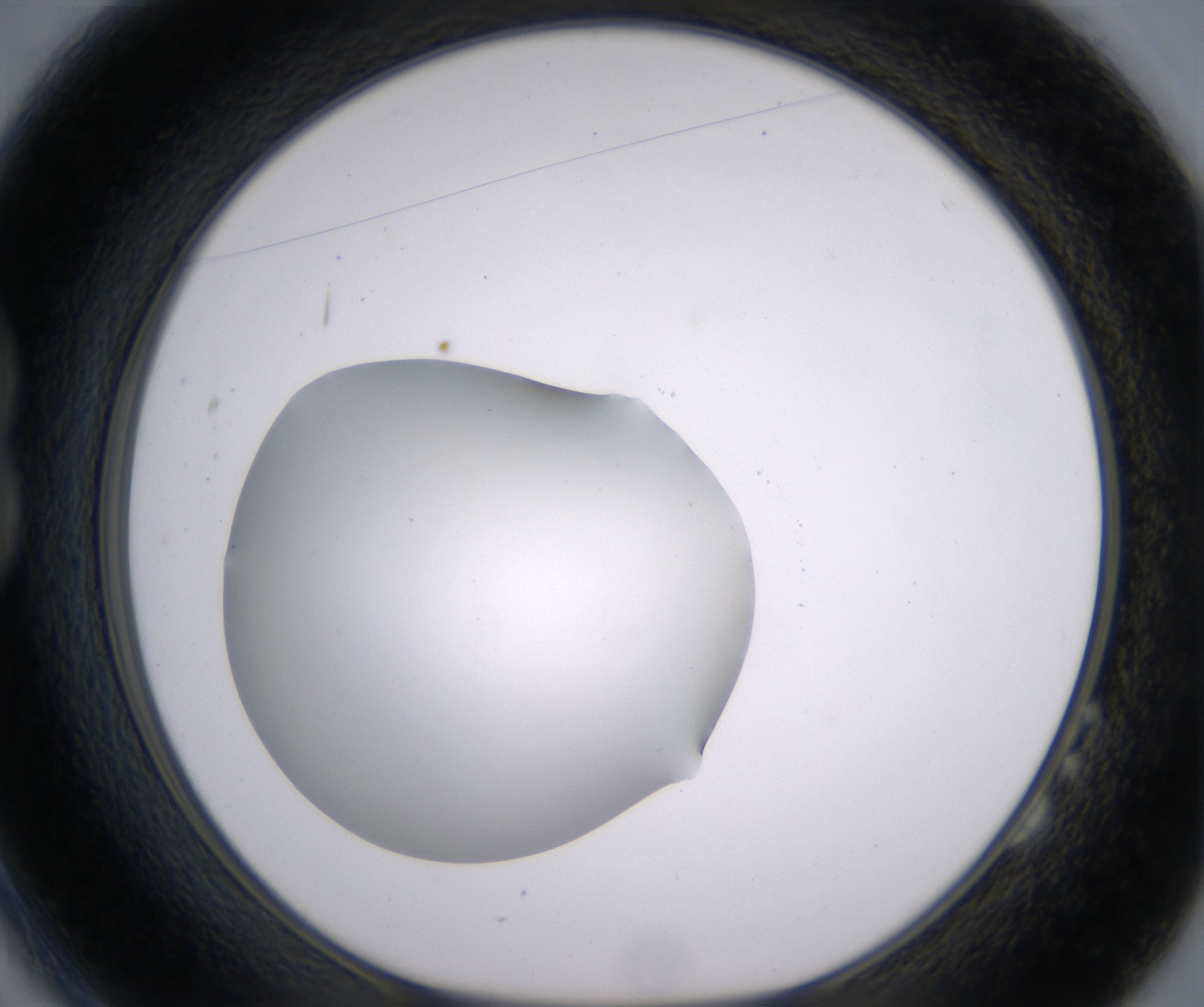 B2_HighResolution_Clear_1.jpg