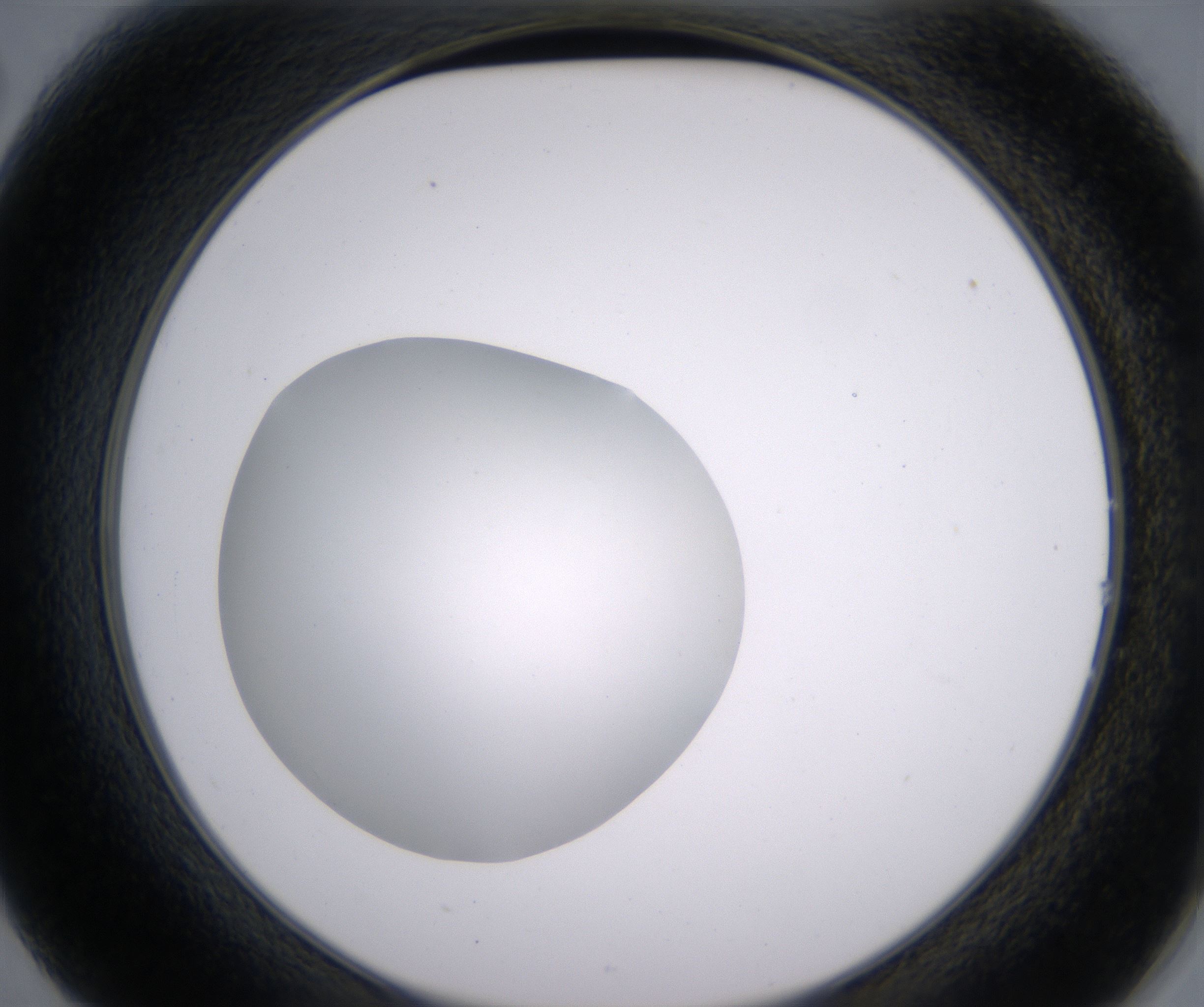 B2_HighResolution_Clear_2.jpg