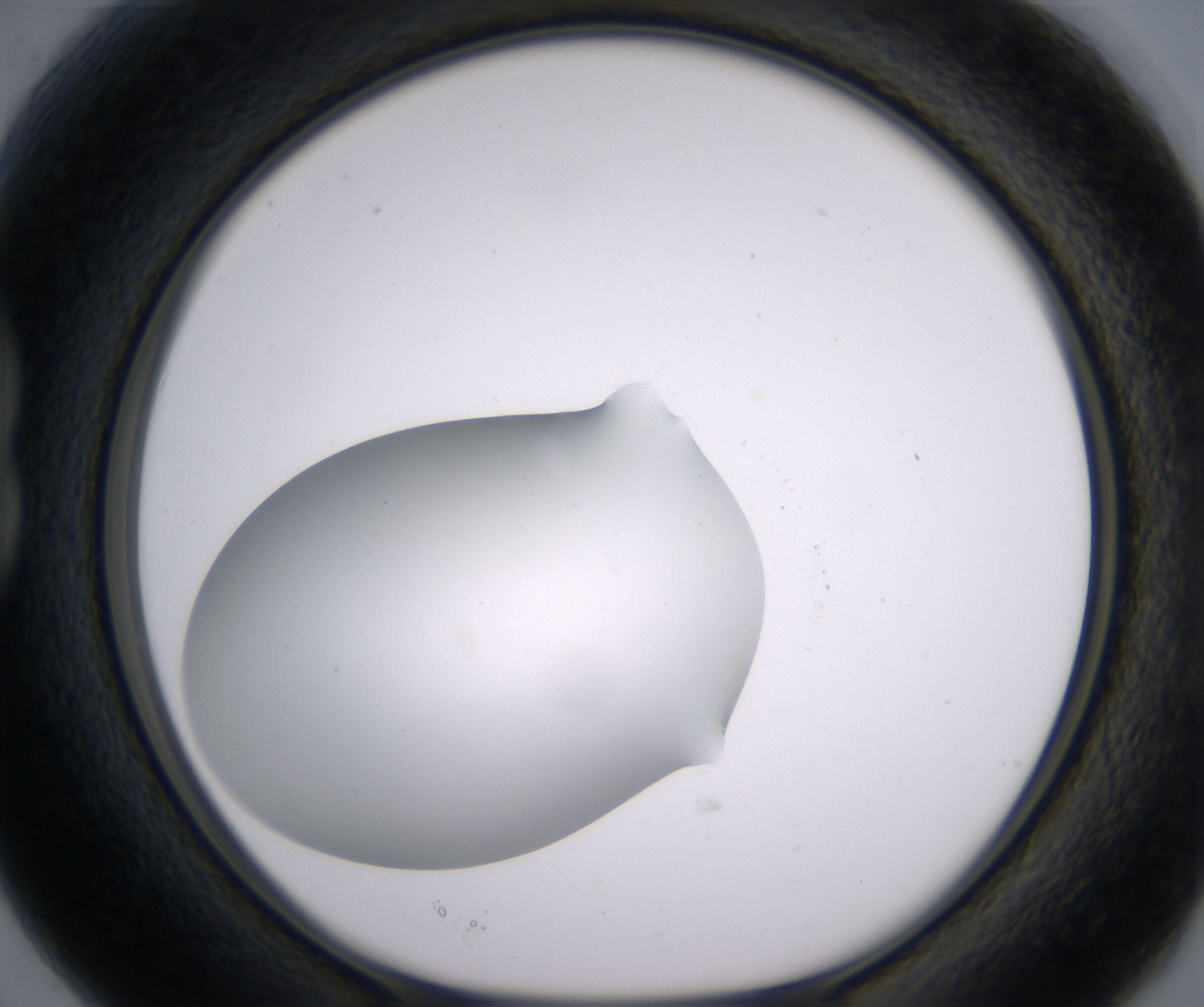 B3_HighResolution_Clear_1.jpg