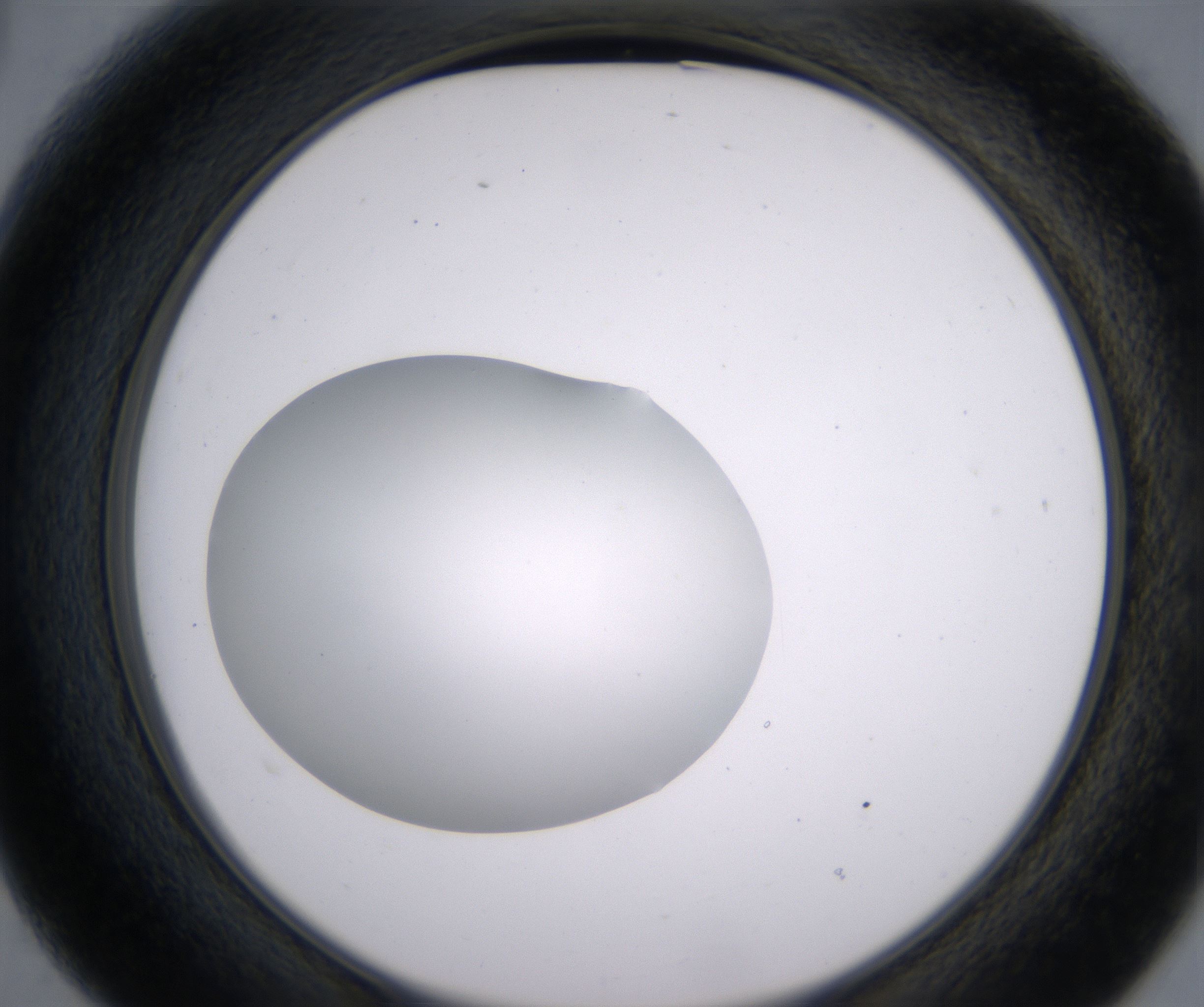 B3_HighResolution_Clear_2.jpg