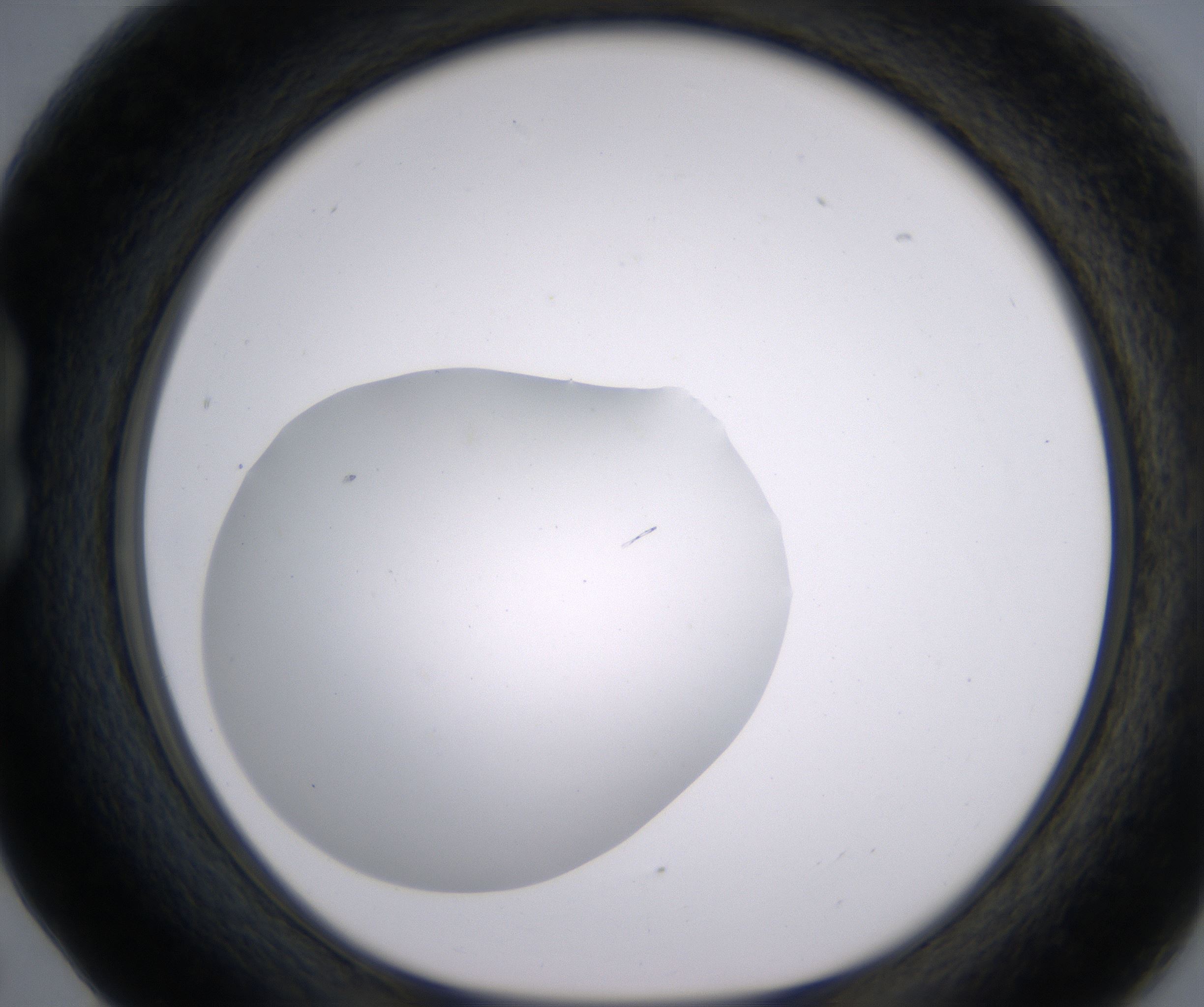 B5_HighResolution_Clear_1.jpg
