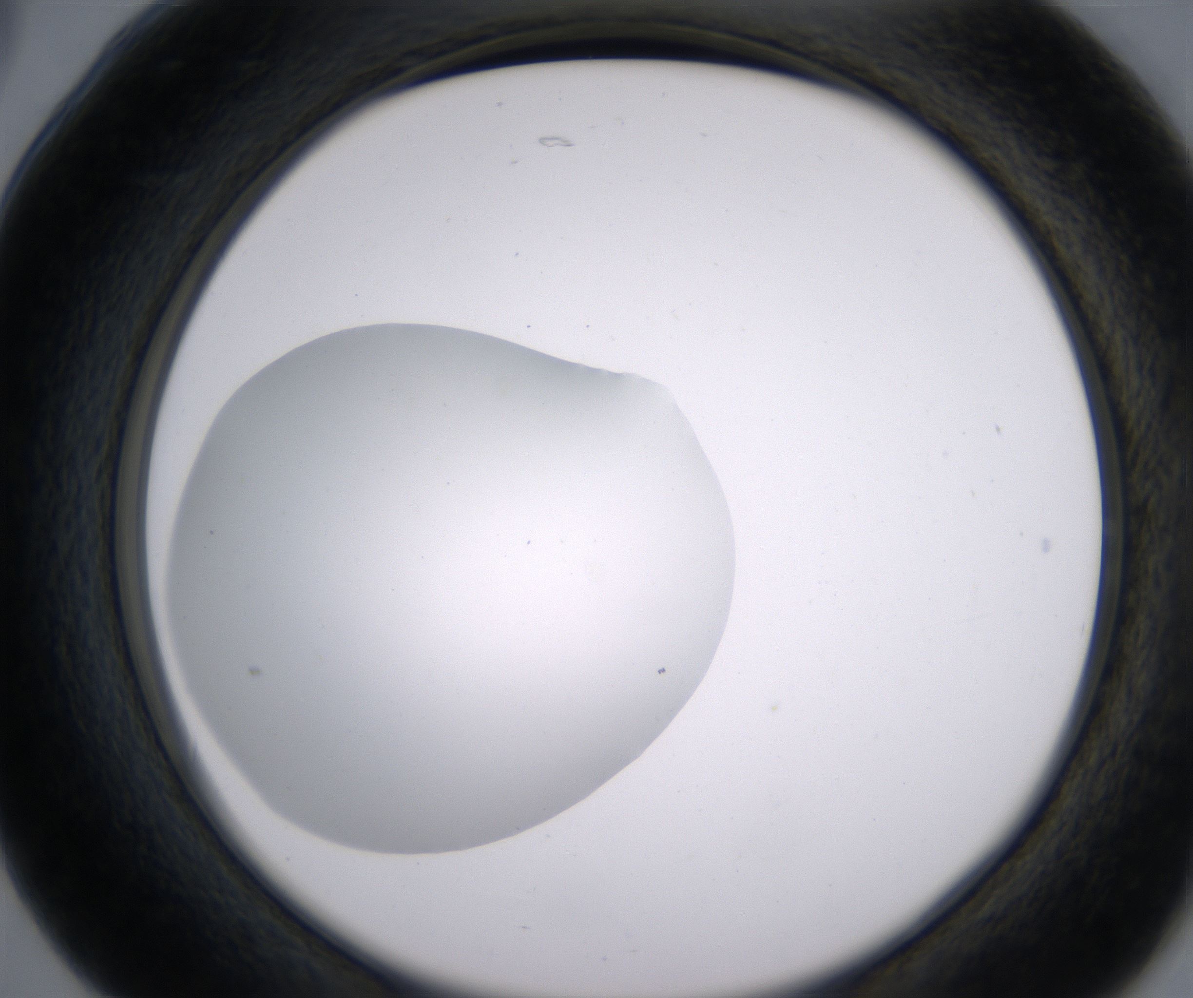 B5_HighResolution_Clear_2.jpg