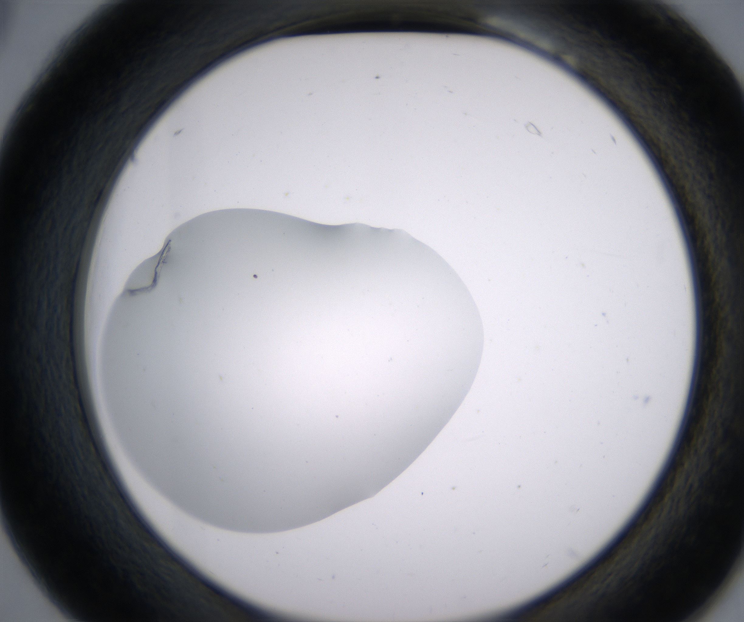 B6_HighResolution_Clear_2.jpg