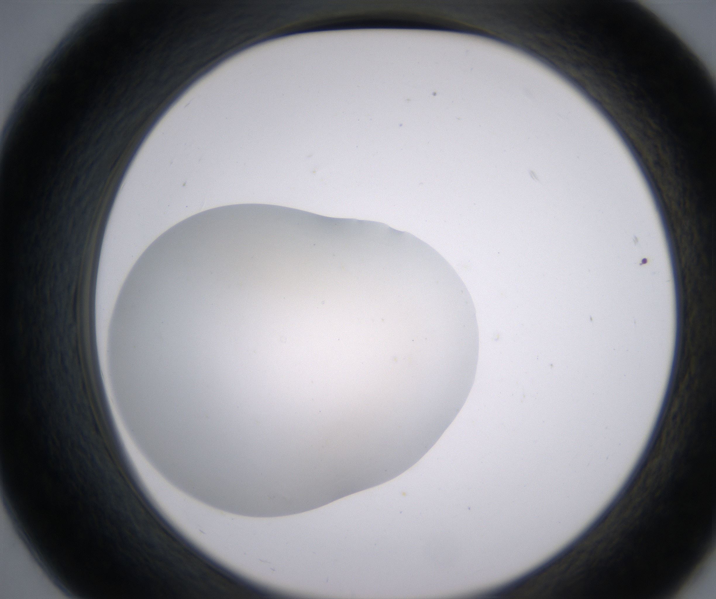 B7_HighResolution_Clear_2.jpg