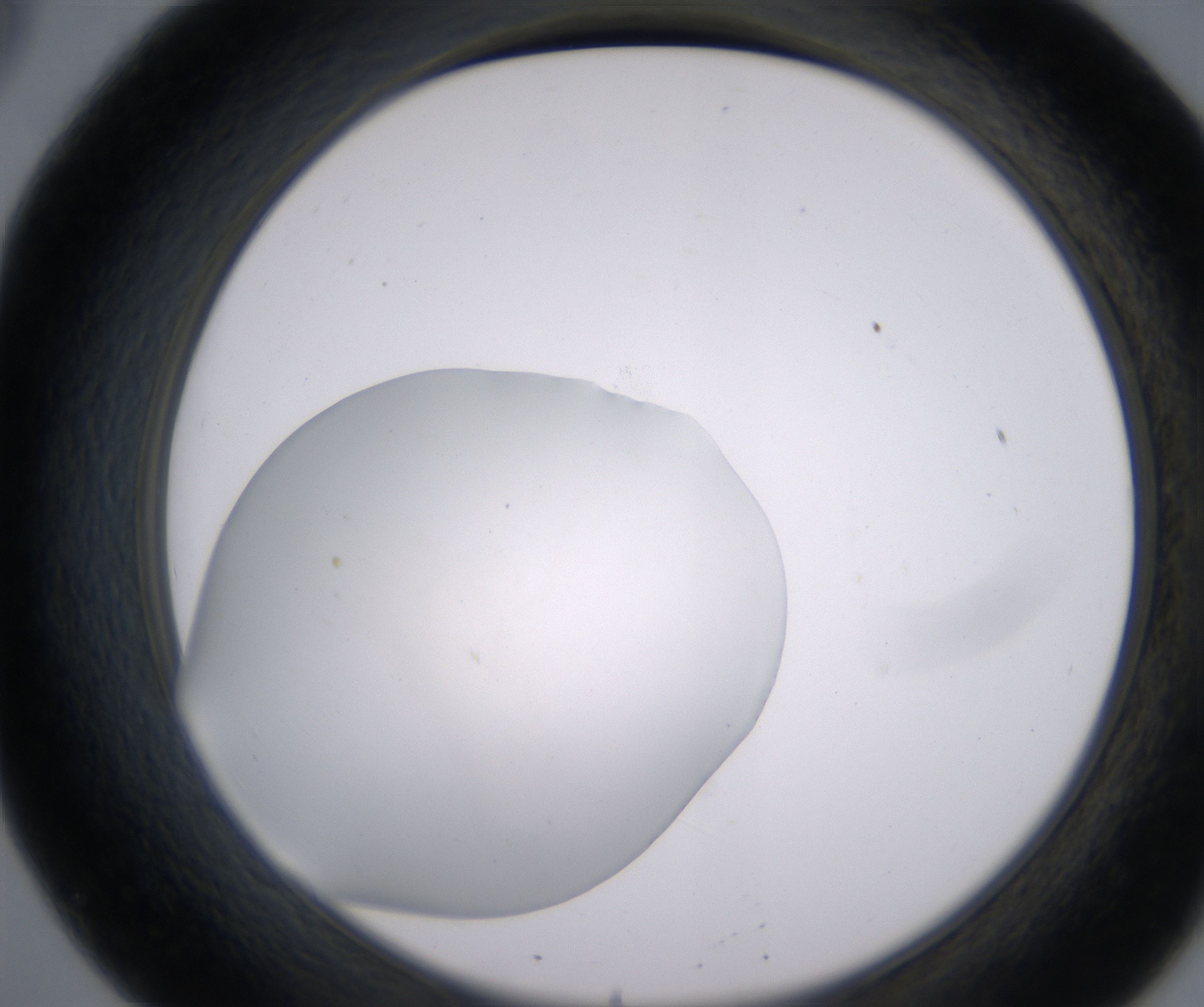 B8_HighResolution_Clear_2.jpg