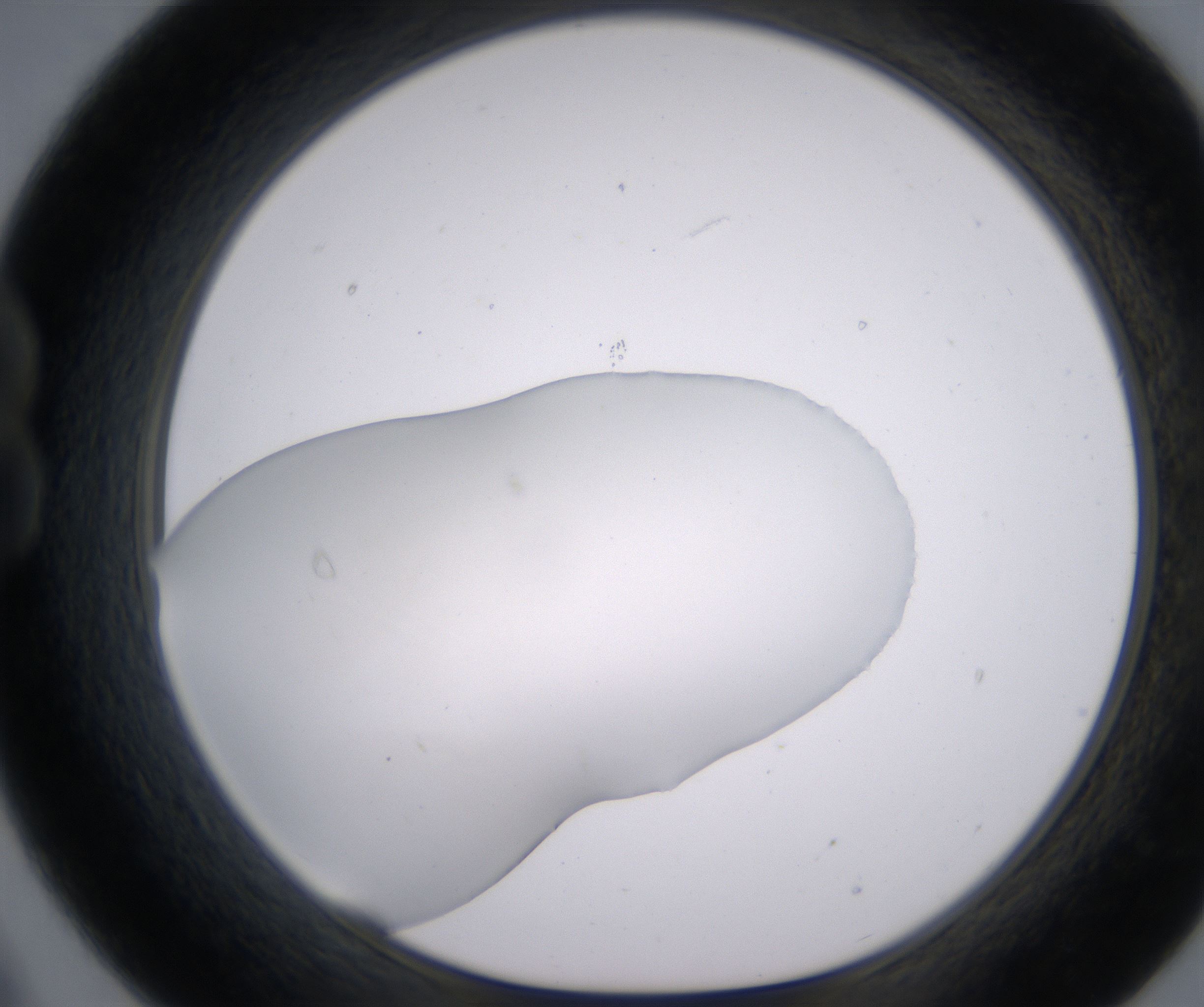B9_HighResolution_Clear_1.jpg