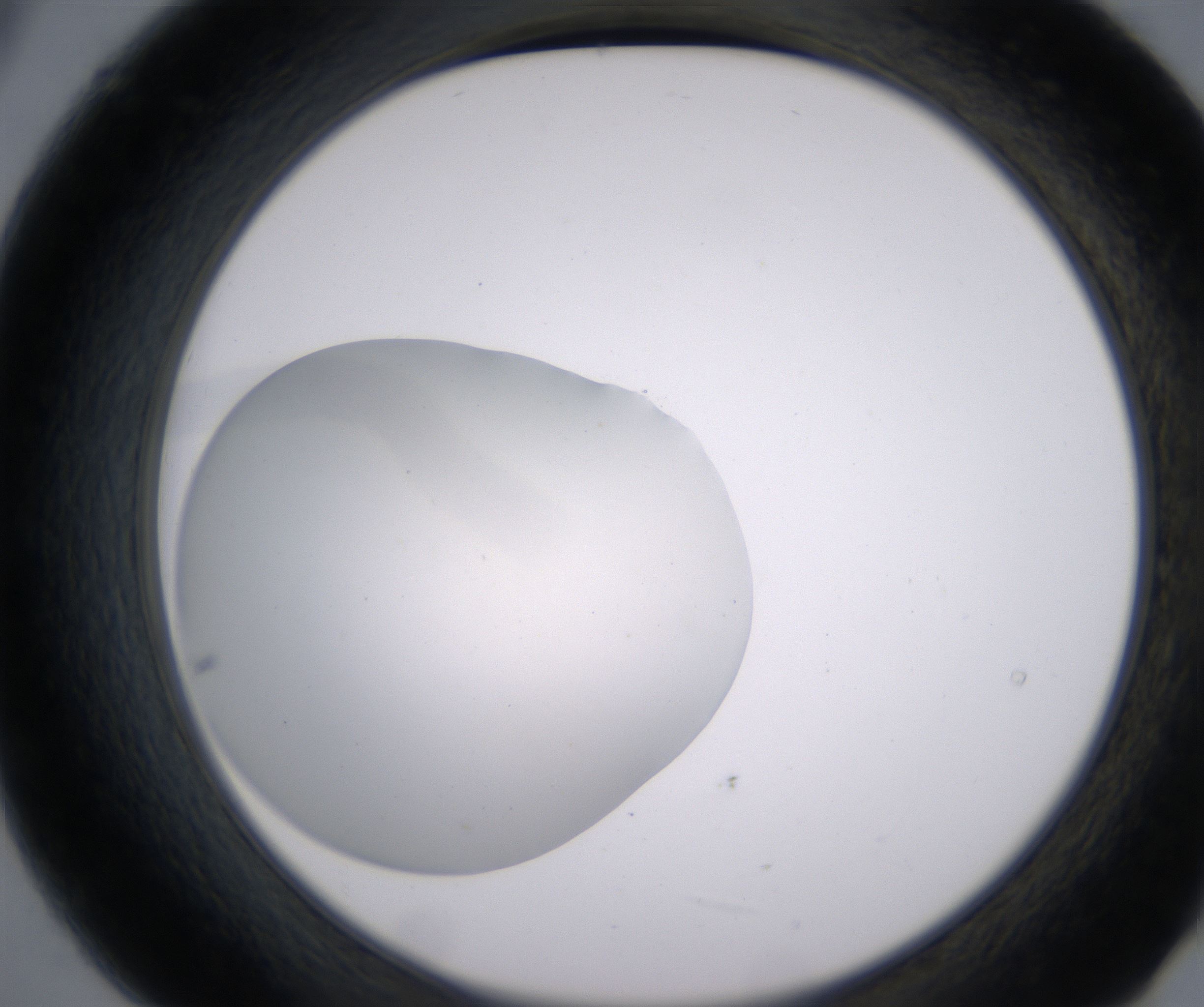 B9_HighResolution_Clear_2.jpg