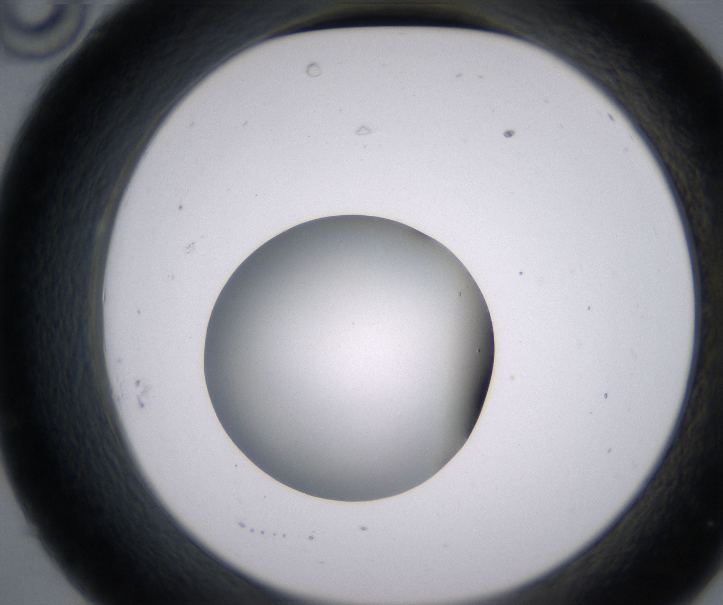 C10_HighResolution_Clear_2.jpg