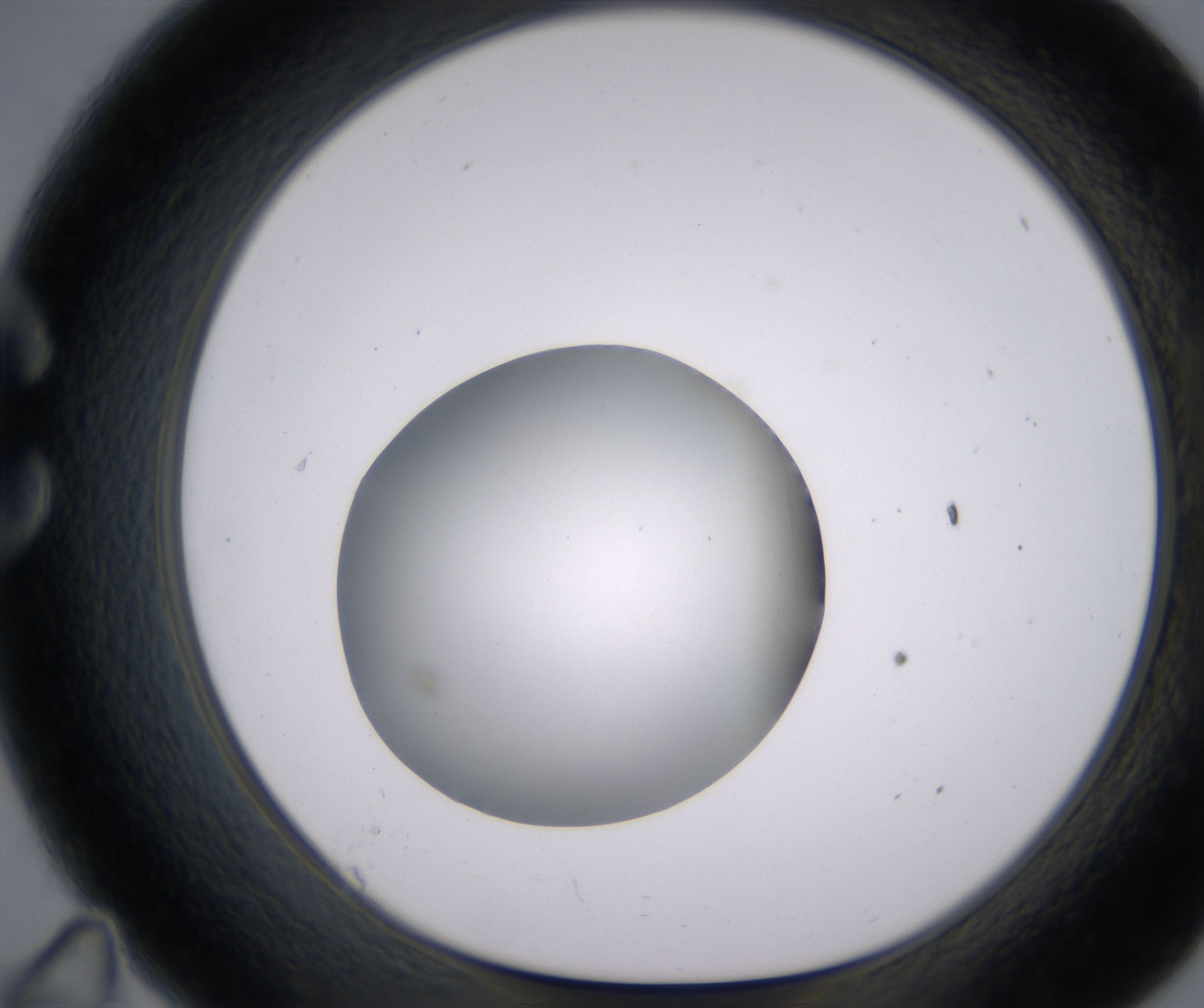 C11_HighResolution_Clear_1.jpg