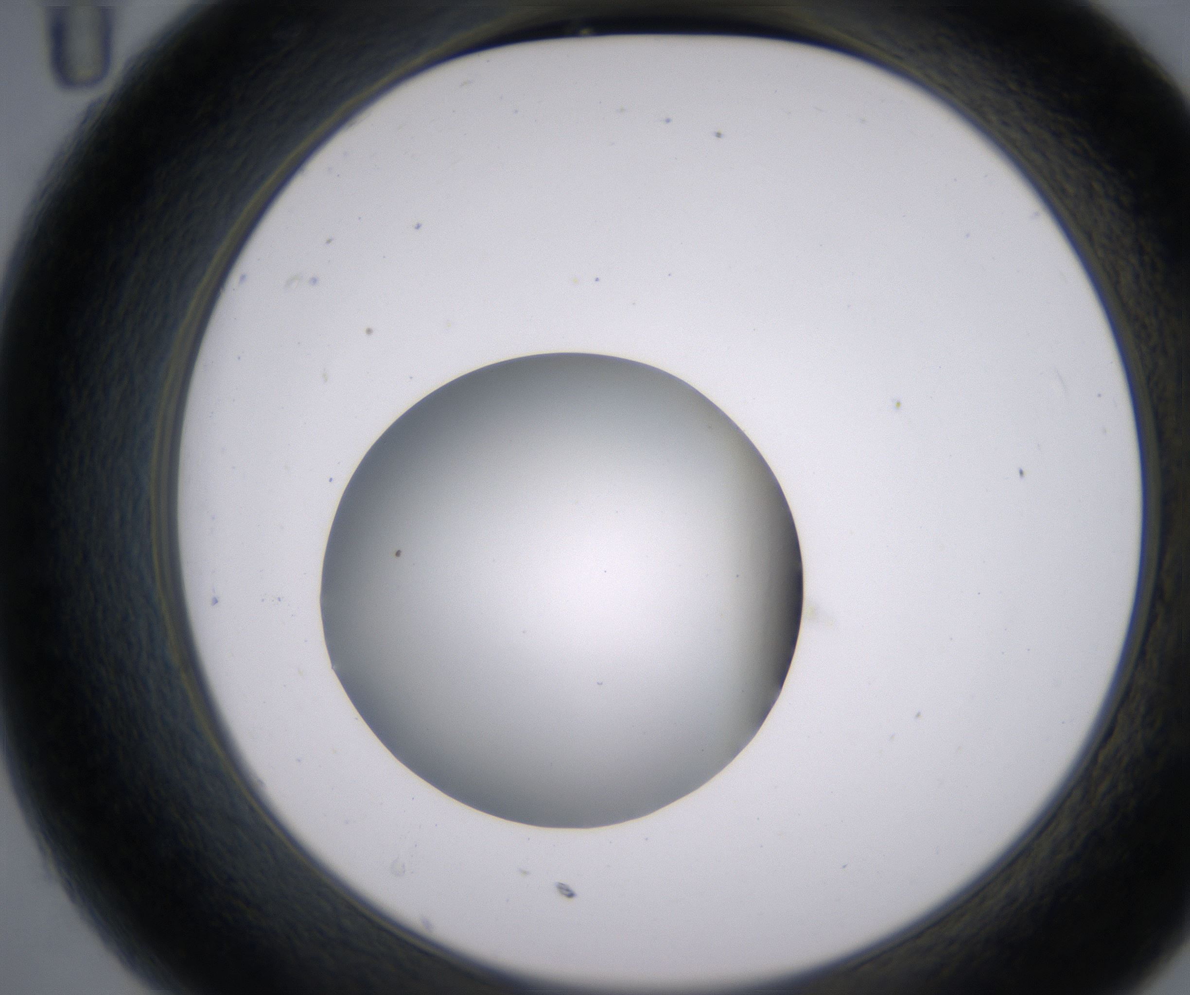 C11_HighResolution_Clear_2.jpg