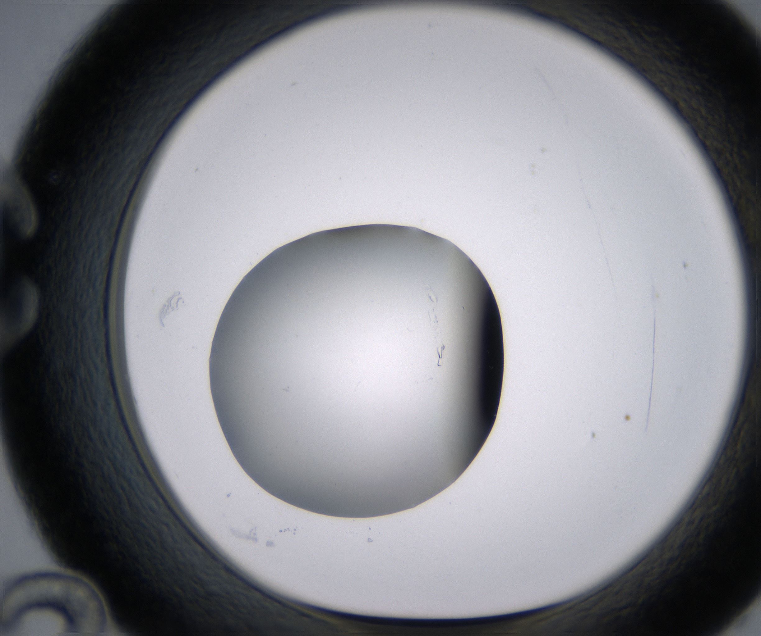 C12_HighResolution_Clear_1.jpg