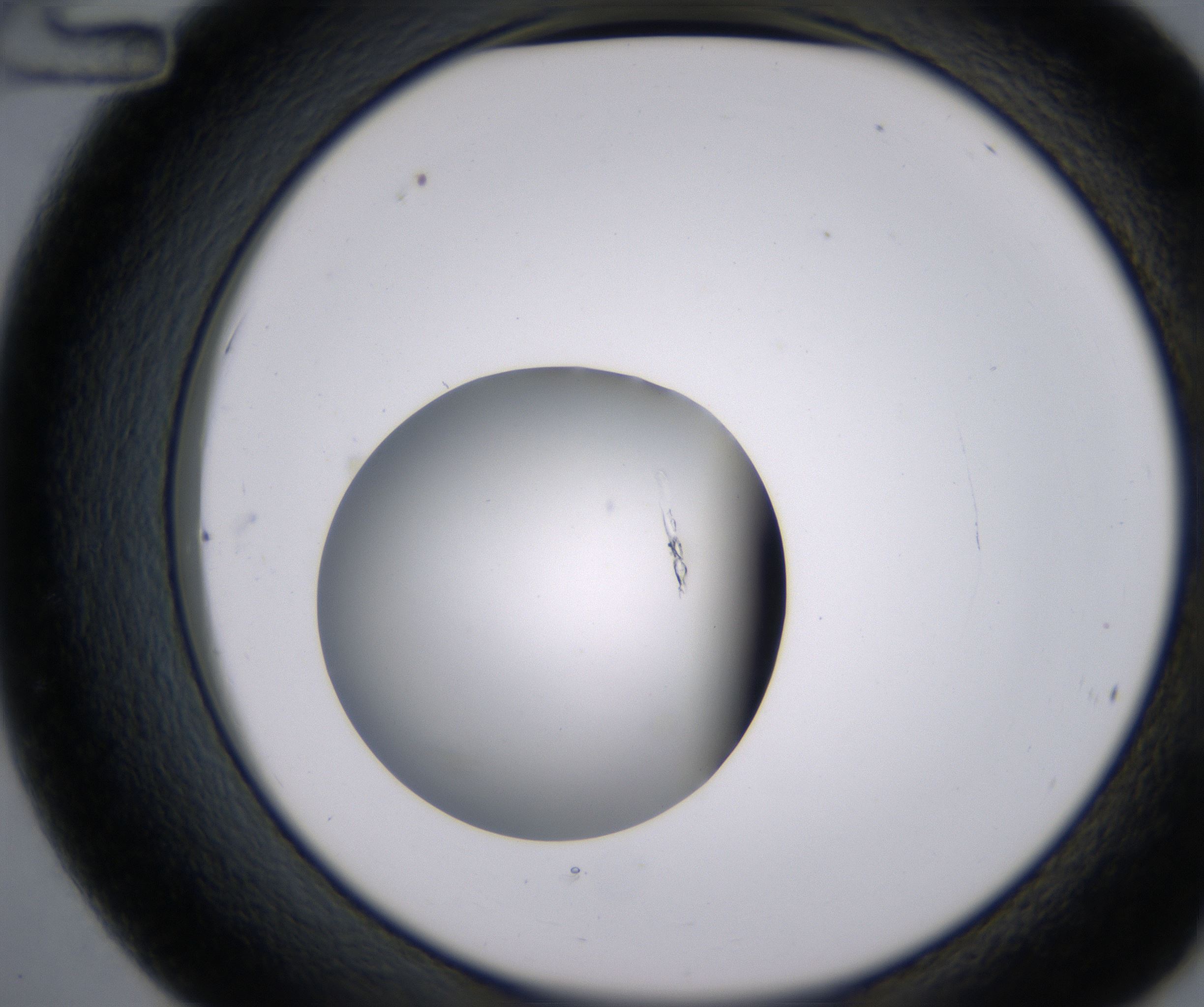 C12_HighResolution_Clear_2.jpg