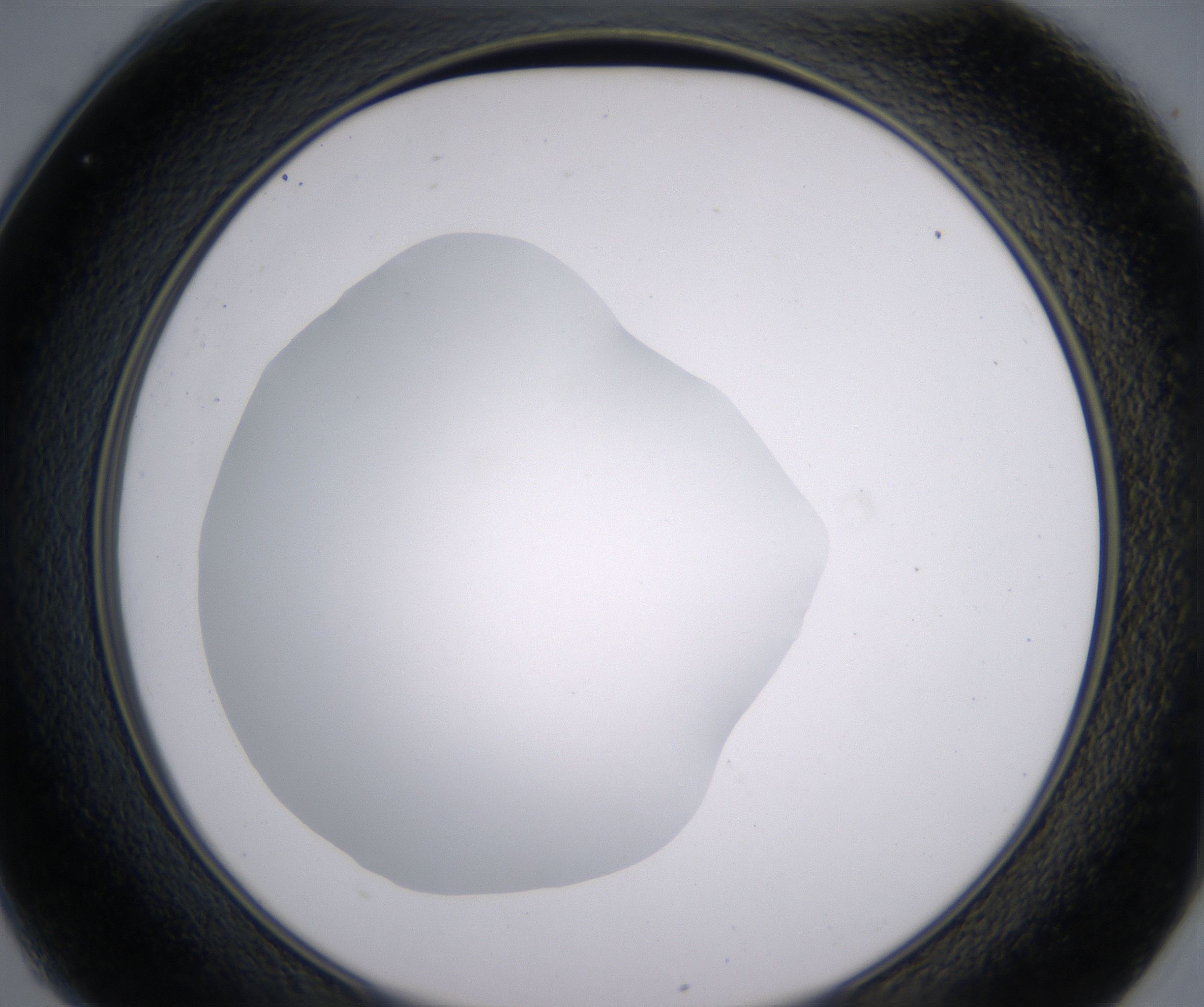 C1_HighResolution_Clear_2.jpg