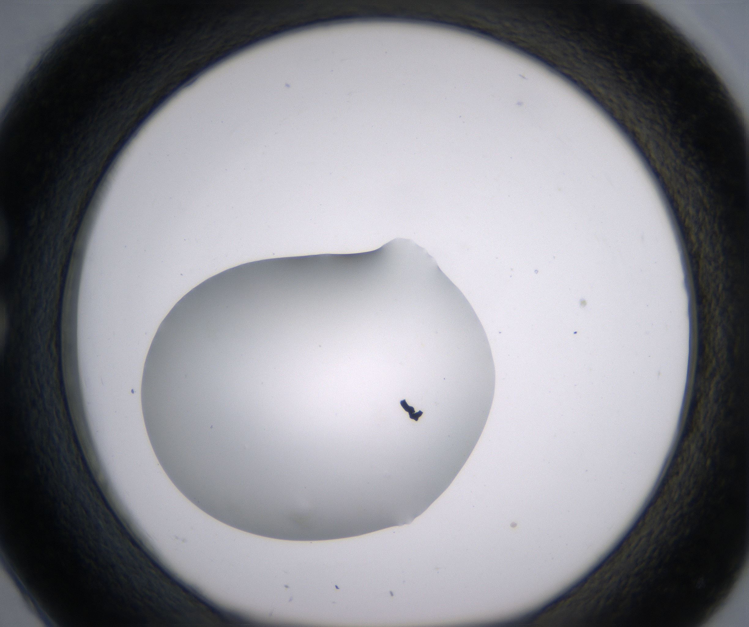 C2_HighResolution_Clear_1.jpg