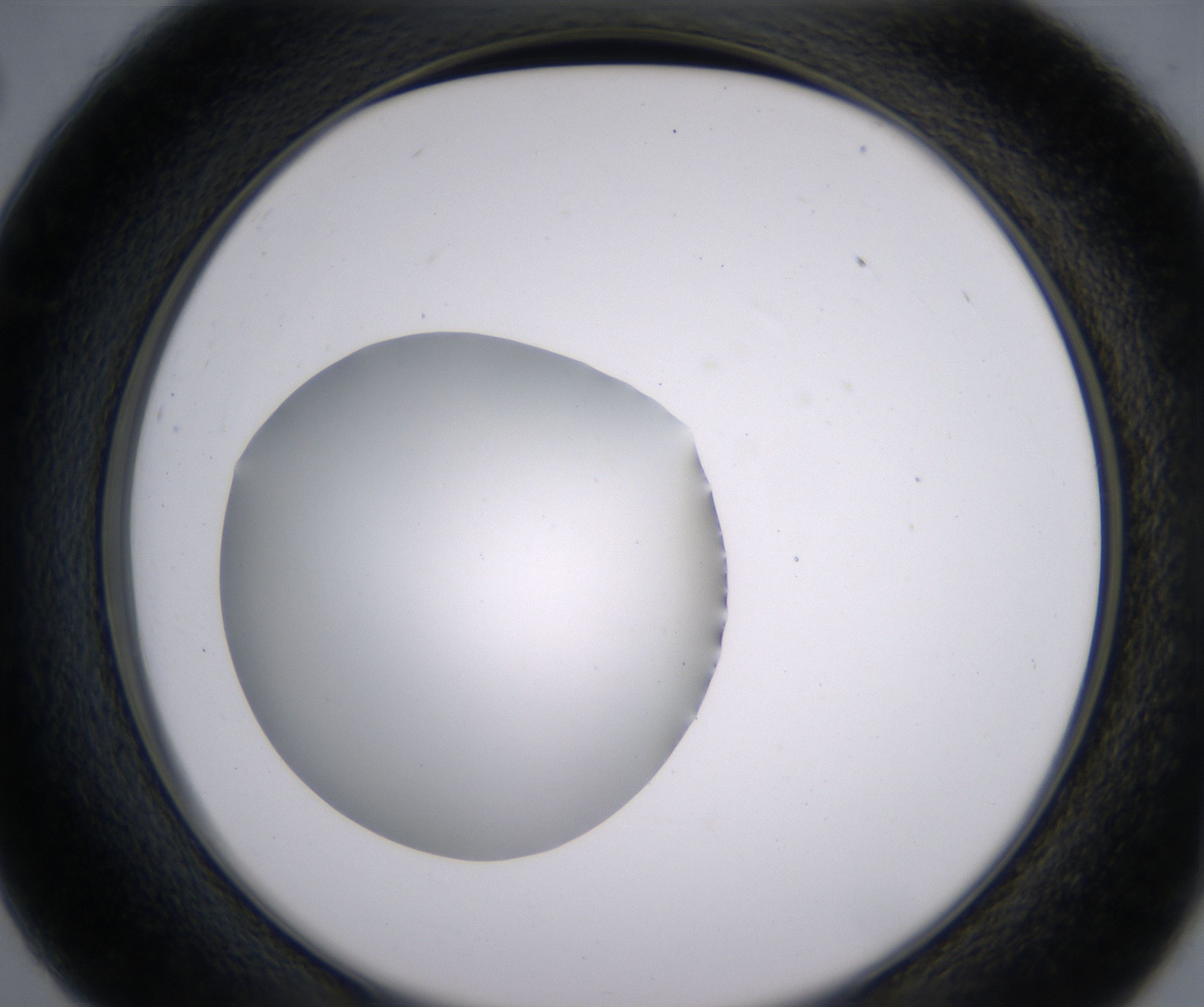 C2_HighResolution_Clear_2.jpg