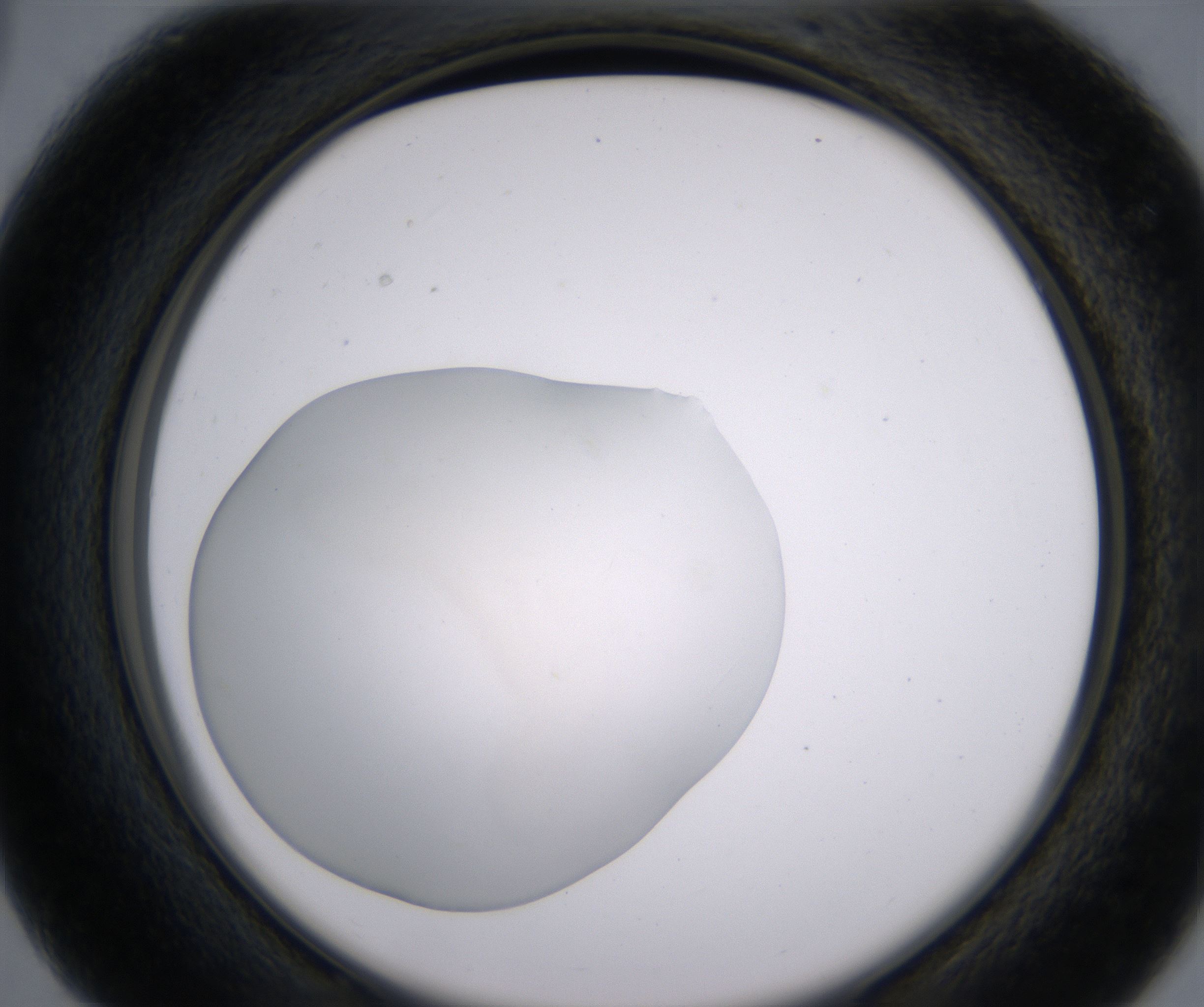 C3_HighResolution_Clear_2.jpg