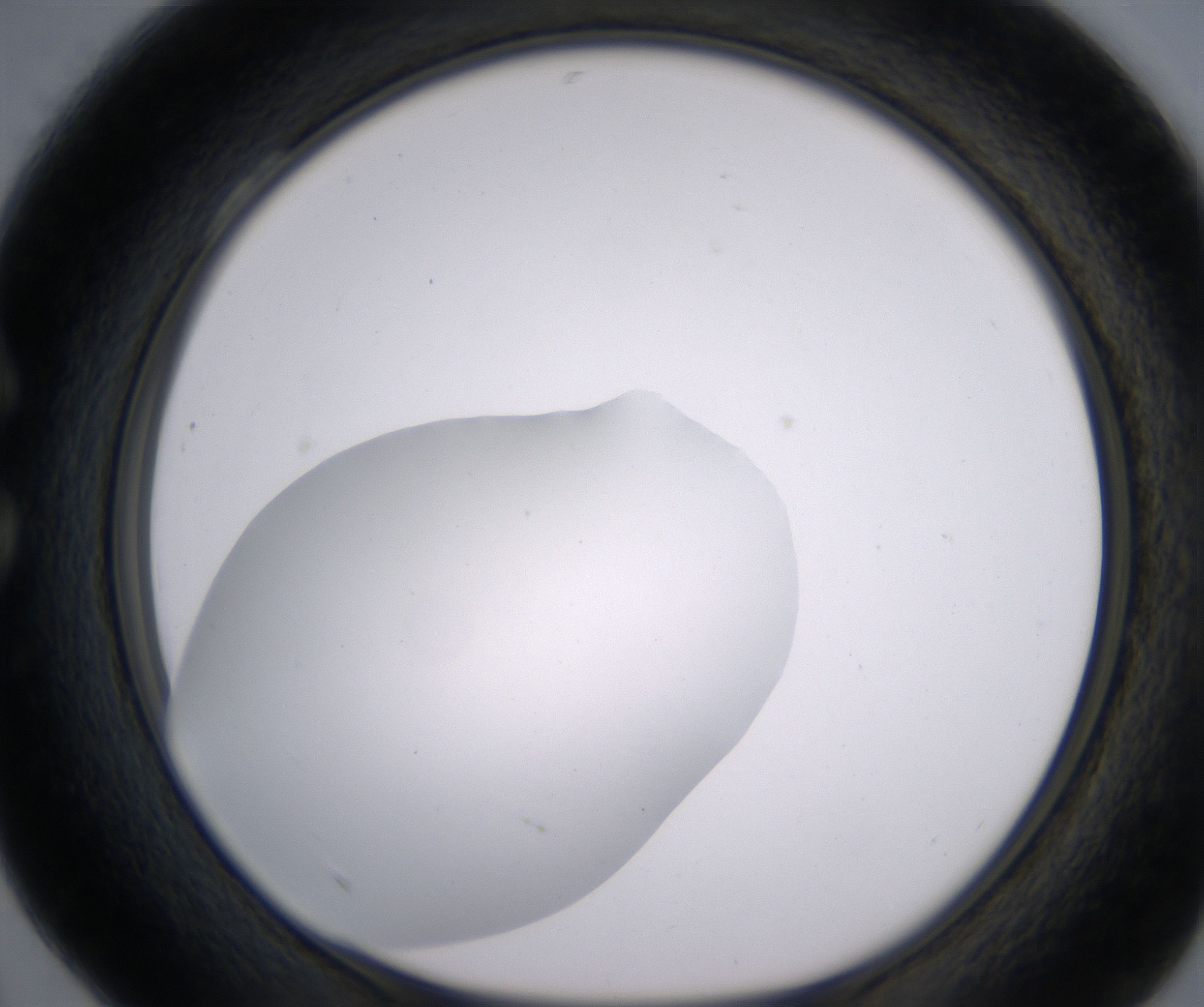 C4_HighResolution_Clear_1.jpg