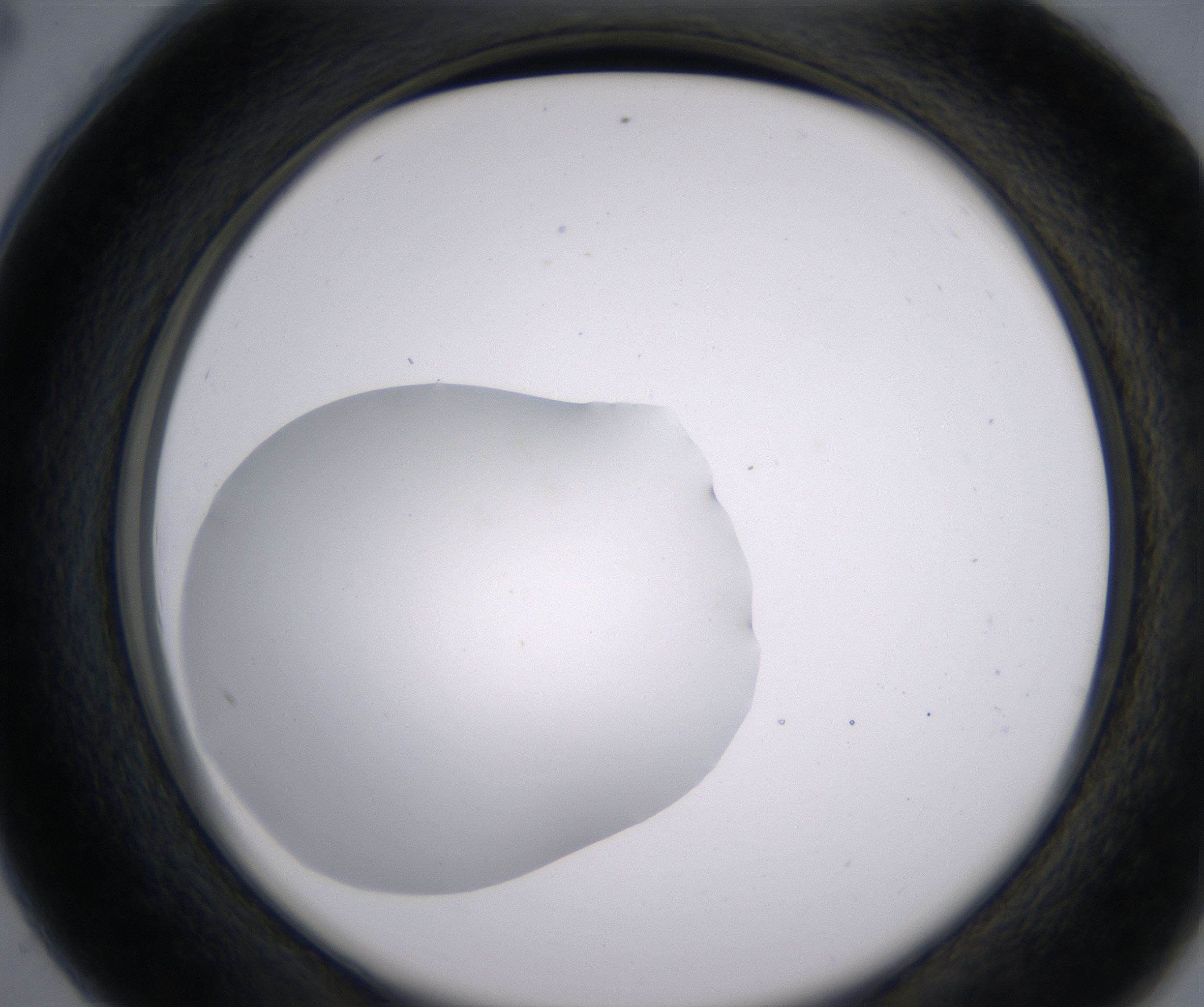 C4_HighResolution_Clear_2.jpg