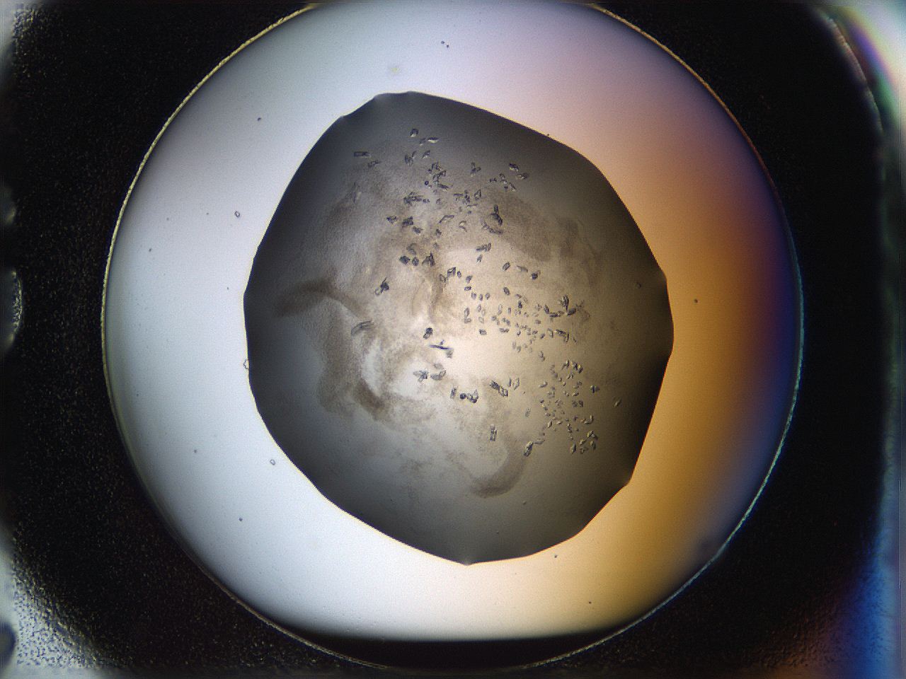 05jq_G7_ImagerDefaults_8.jpg