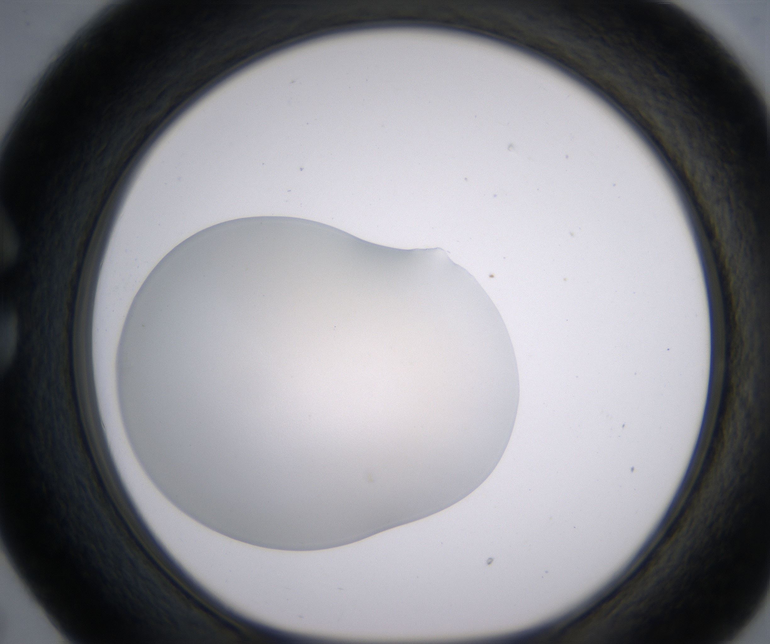 C5_HighResolution_Clear_1.jpg
