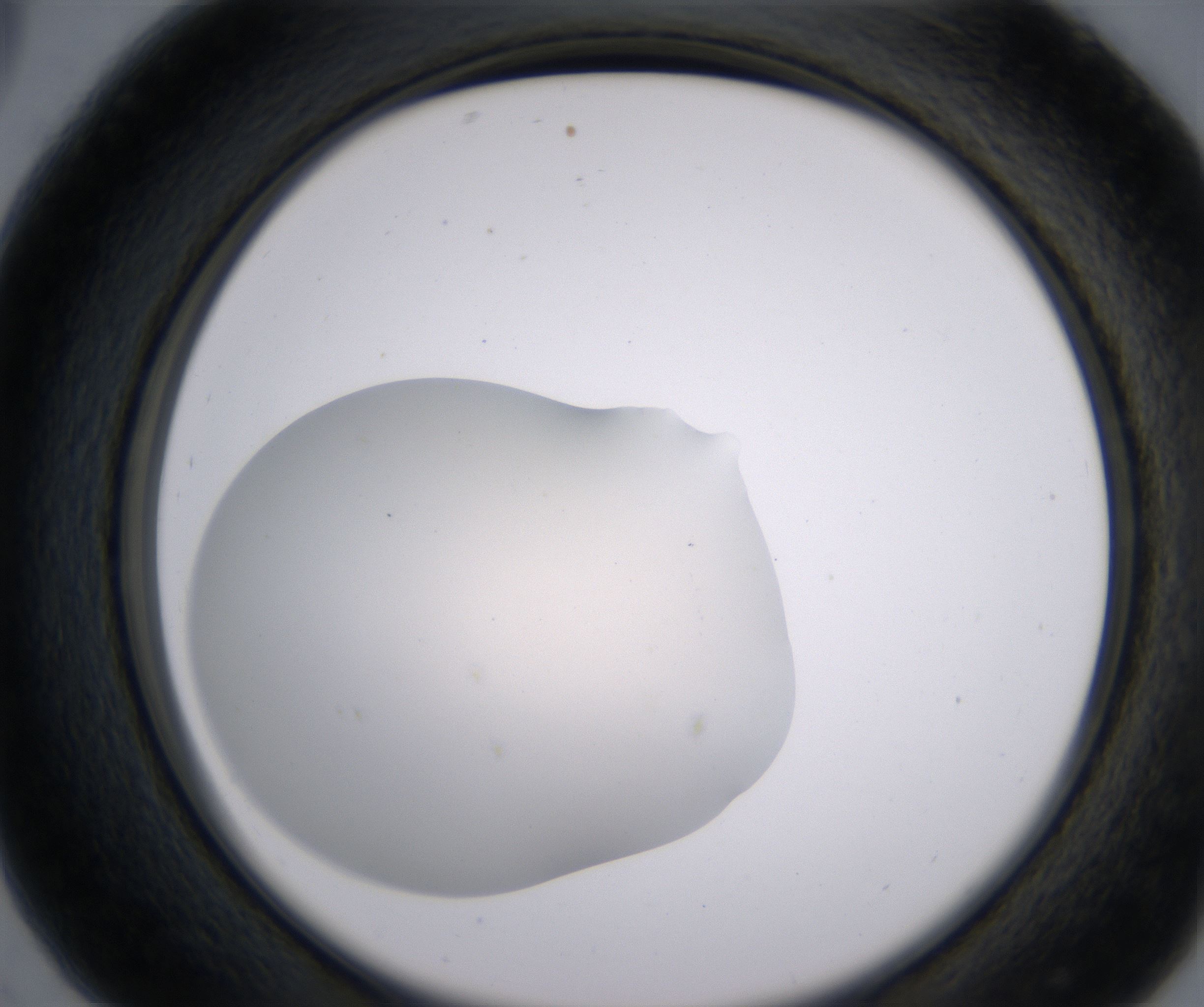 C5_HighResolution_Clear_2.jpg