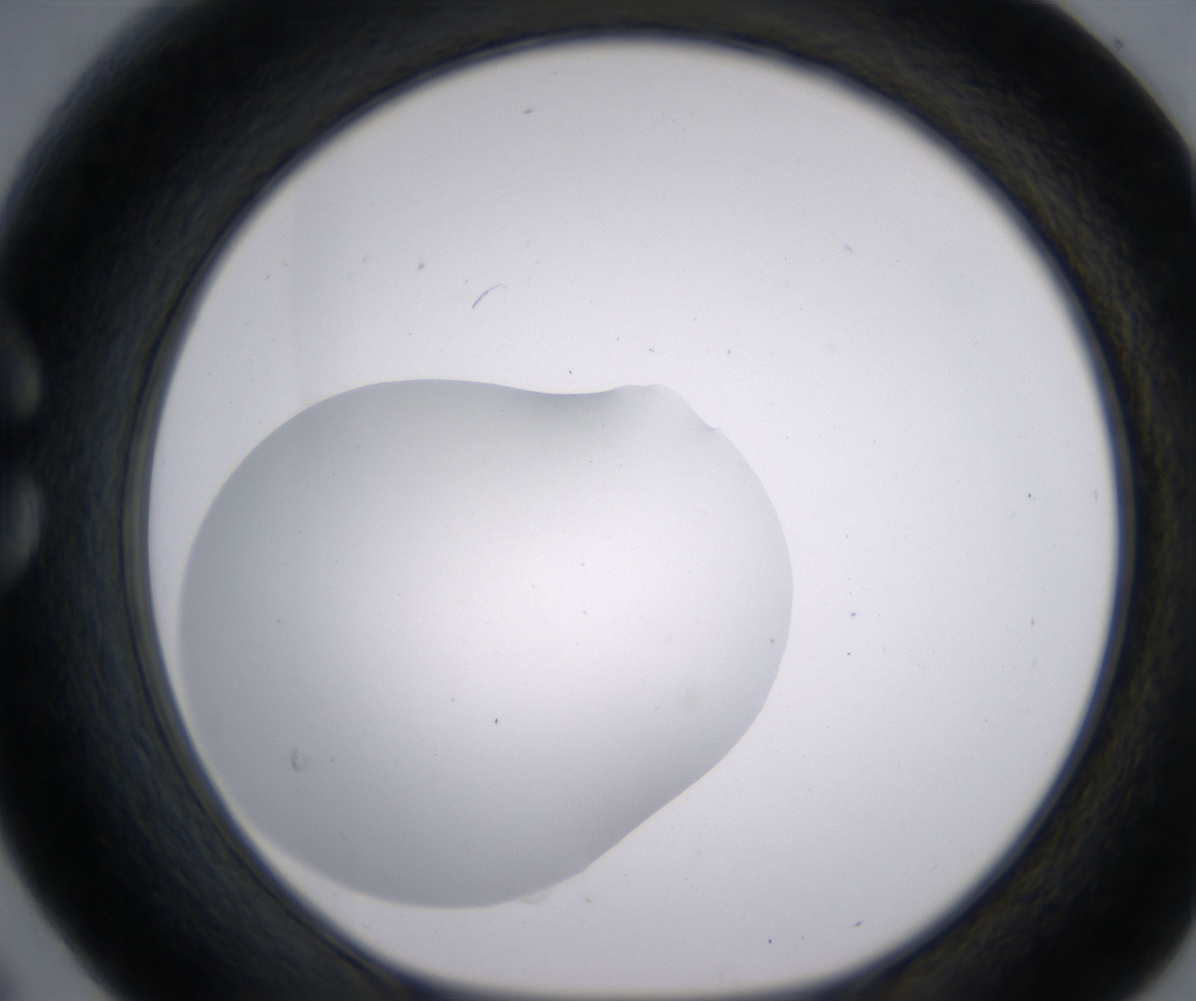 C6_HighResolution_Clear_1.jpg