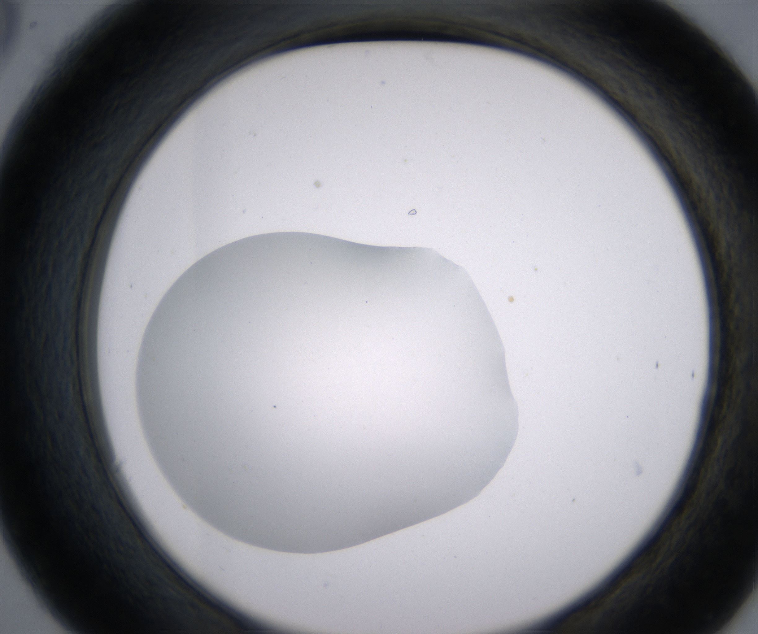 C6_HighResolution_Clear_2.jpg