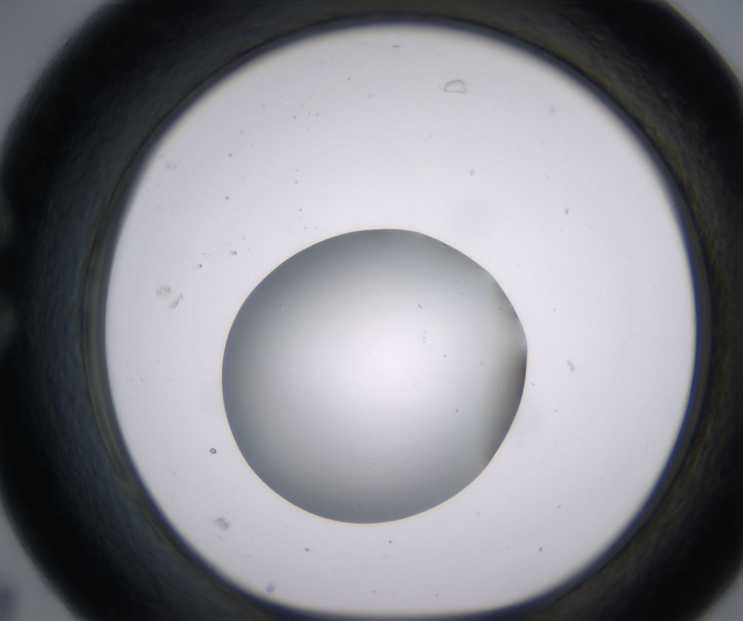 C7_HighResolution_Clear_1.jpg