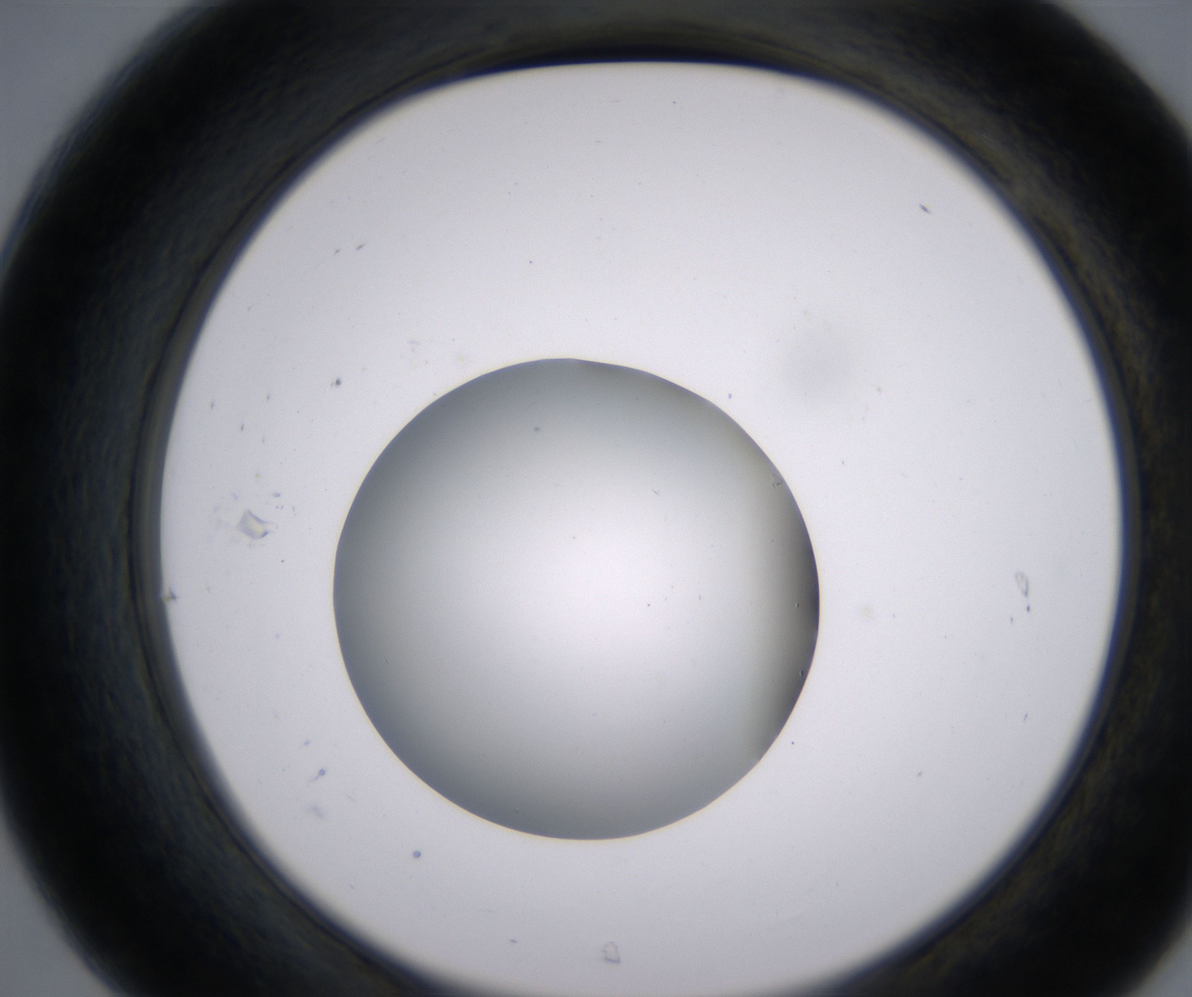 C7_HighResolution_Clear_2.jpg