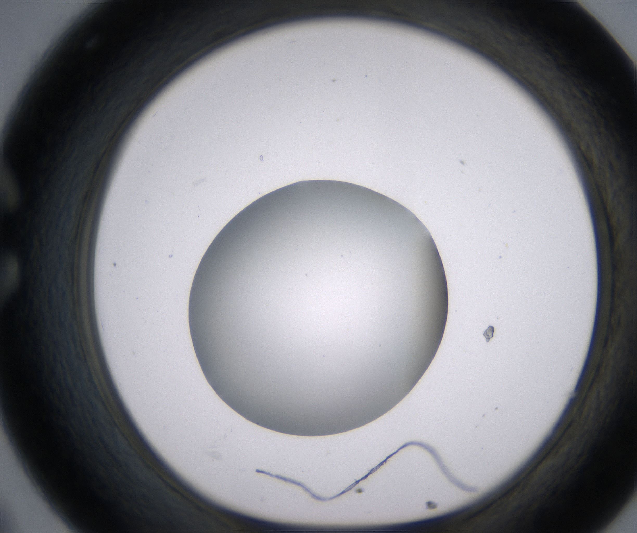 C8_HighResolution_Clear_1.jpg