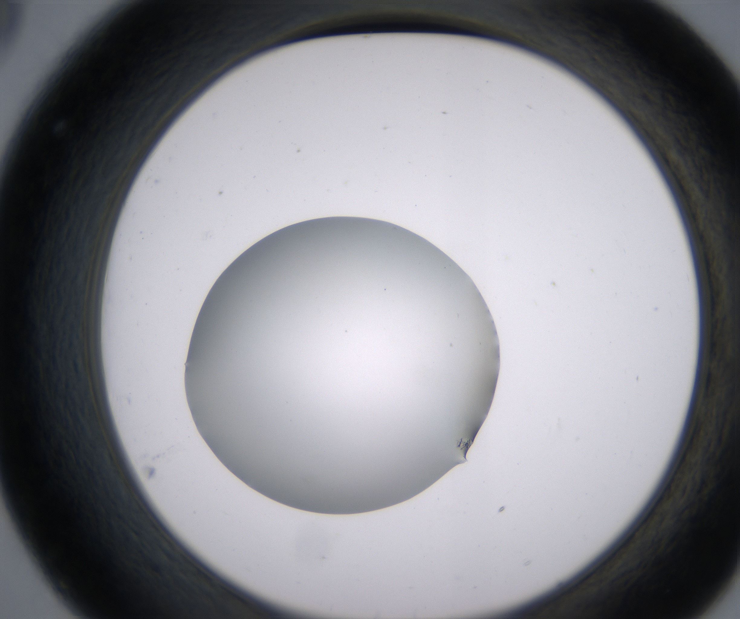 C8_HighResolution_Clear_2.jpg