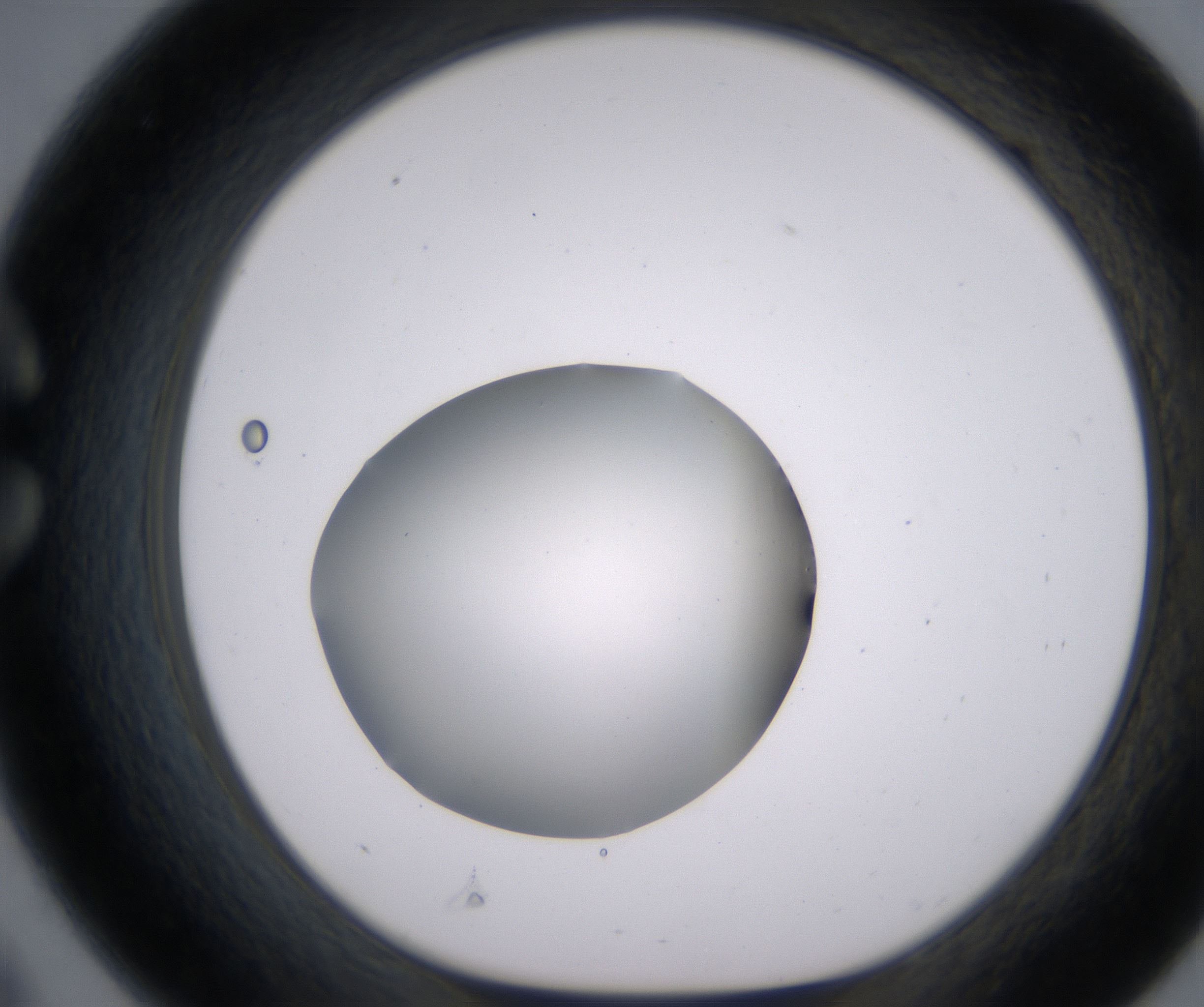 C9_HighResolution_Clear_1.jpg