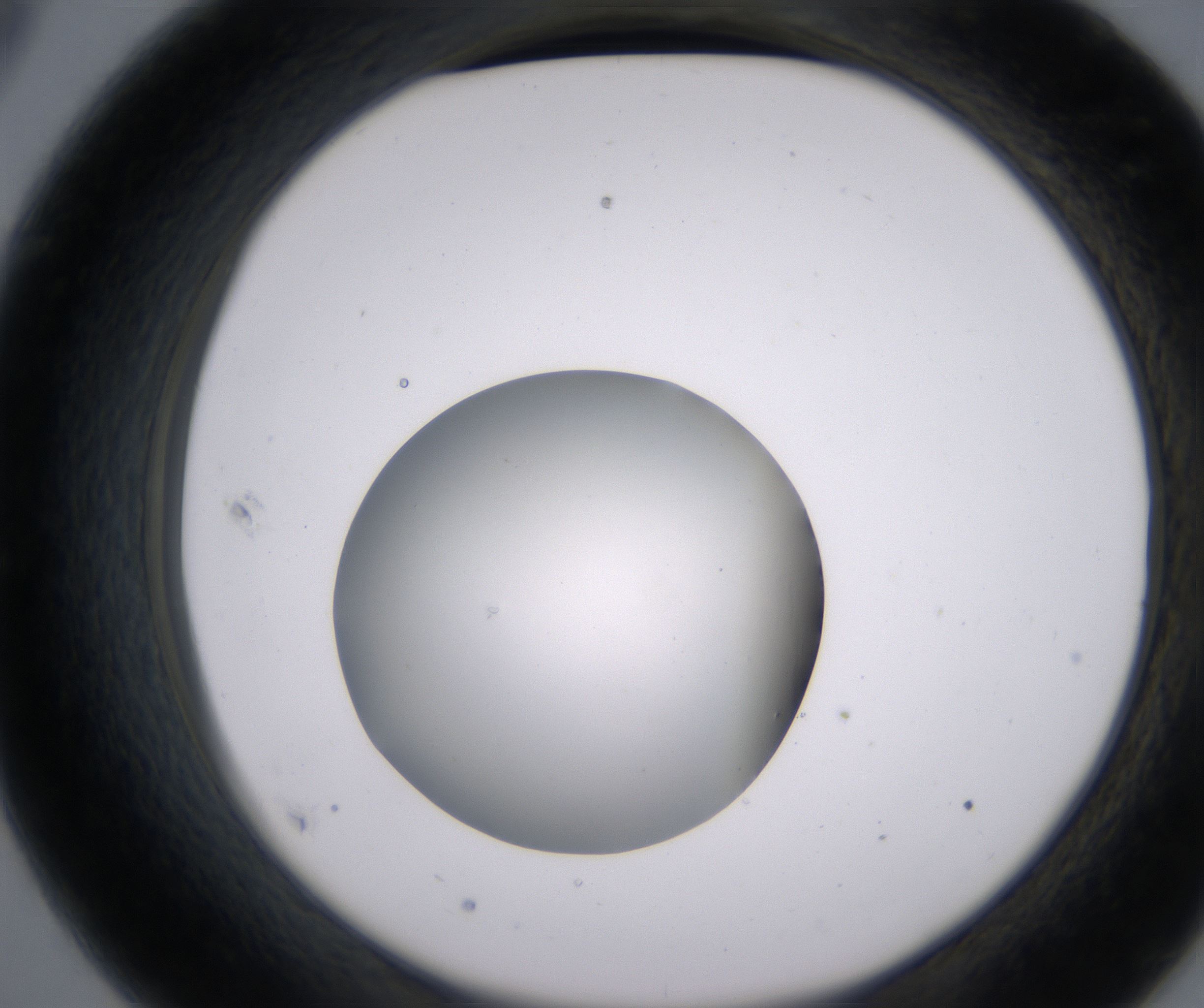 C9_HighResolution_Clear_2.jpg