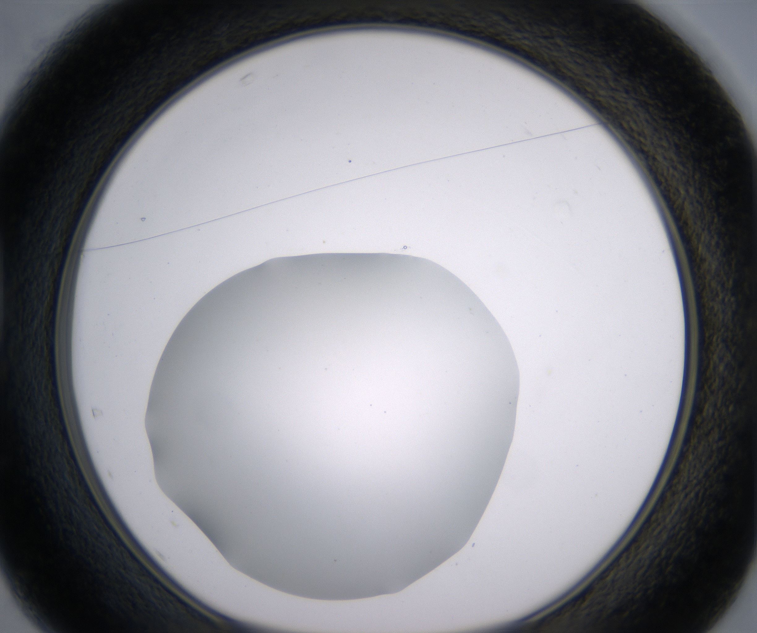 D1_HighResolution_Clear_1.jpg