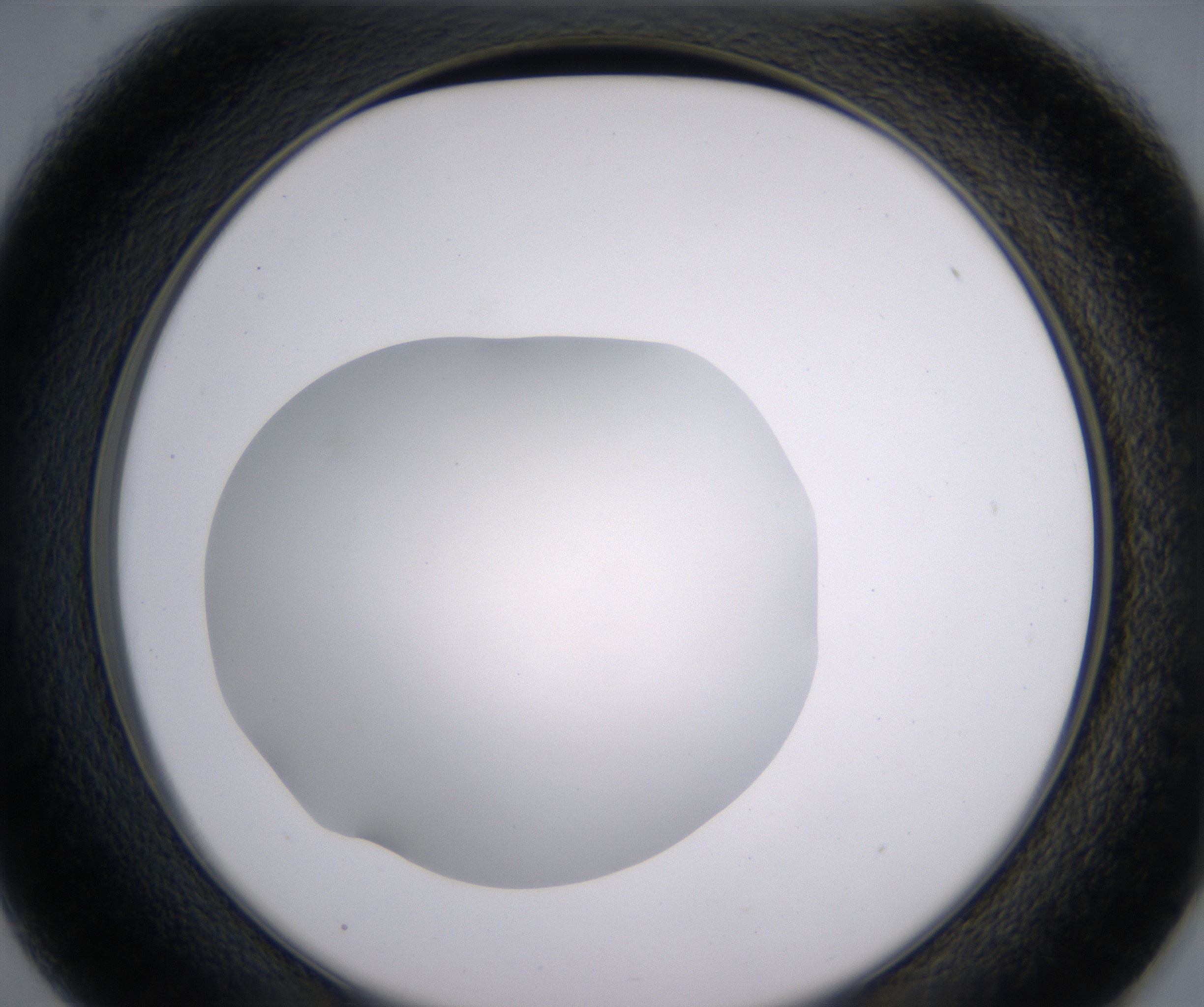 D1_HighResolution_Clear_2.jpg